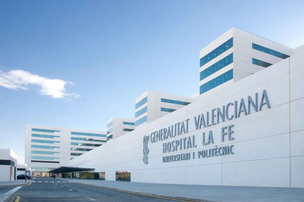 El Hospital La Fe lidera España en trasplantes de médula ósea con 172 procedimientos en un año