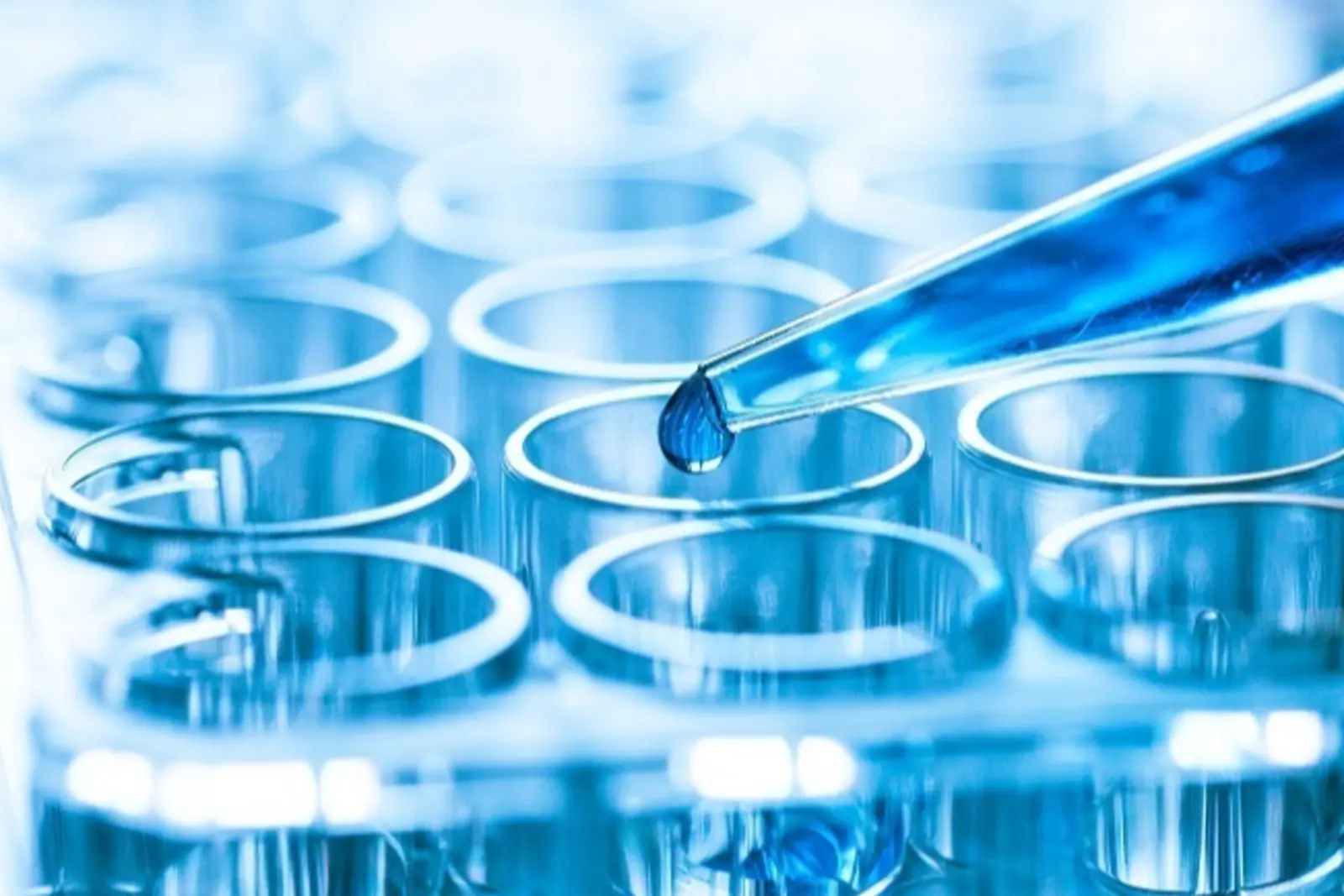 Cada vez más personas eligen Iberohemp