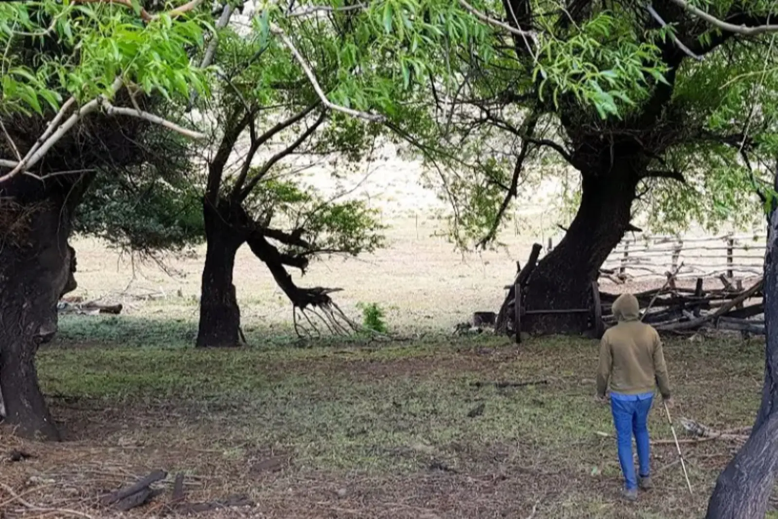 Pino Solo, la puerta escondida a un mundo de historias y paisajes milenarios