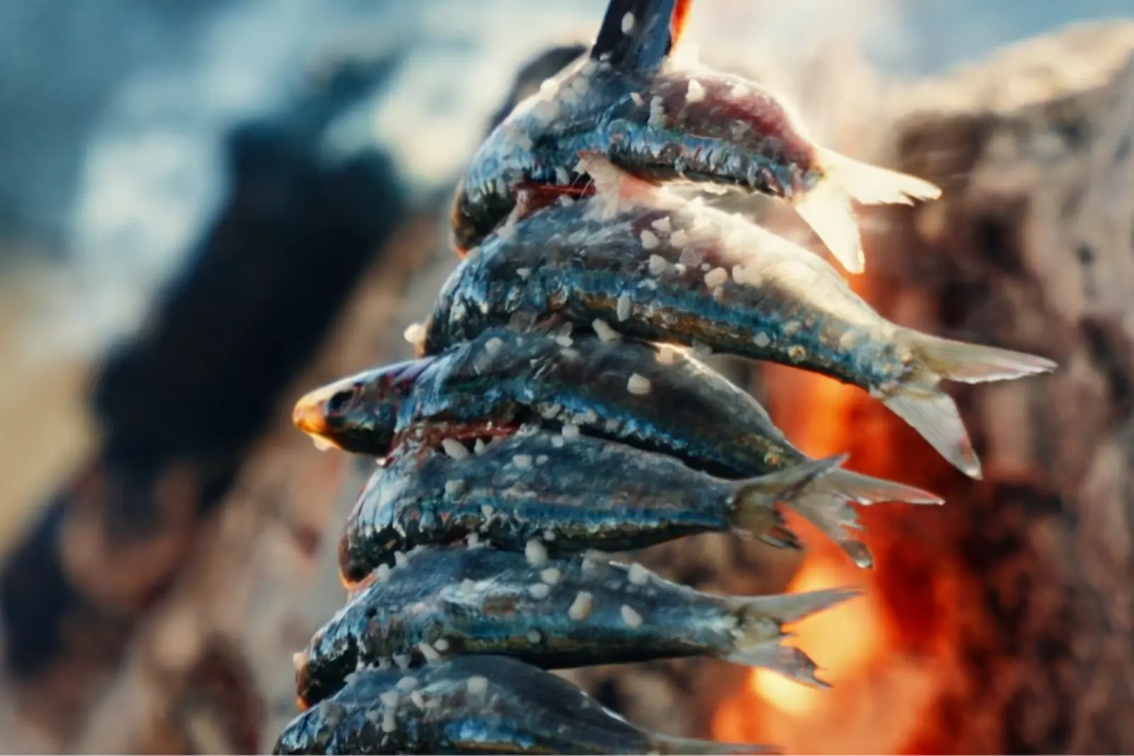 El modelo turístico de Torrox tiene un impacto directo en la economía local. El alcalde subrayó la importancia de un turismo que genere beneficios transversales.