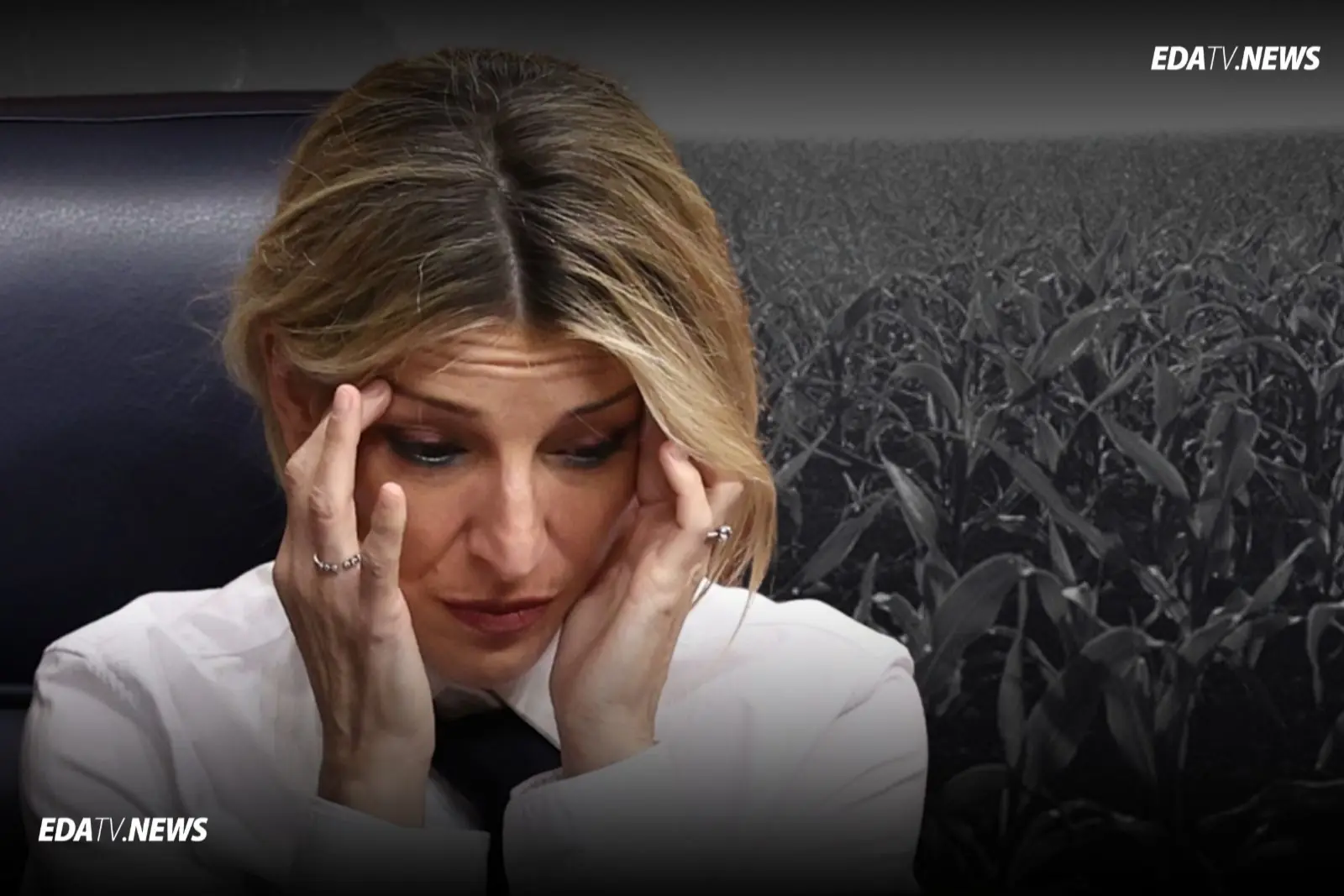 La cifra de afiliados de la Seguridad Social que Yolanda Díaz no menciona