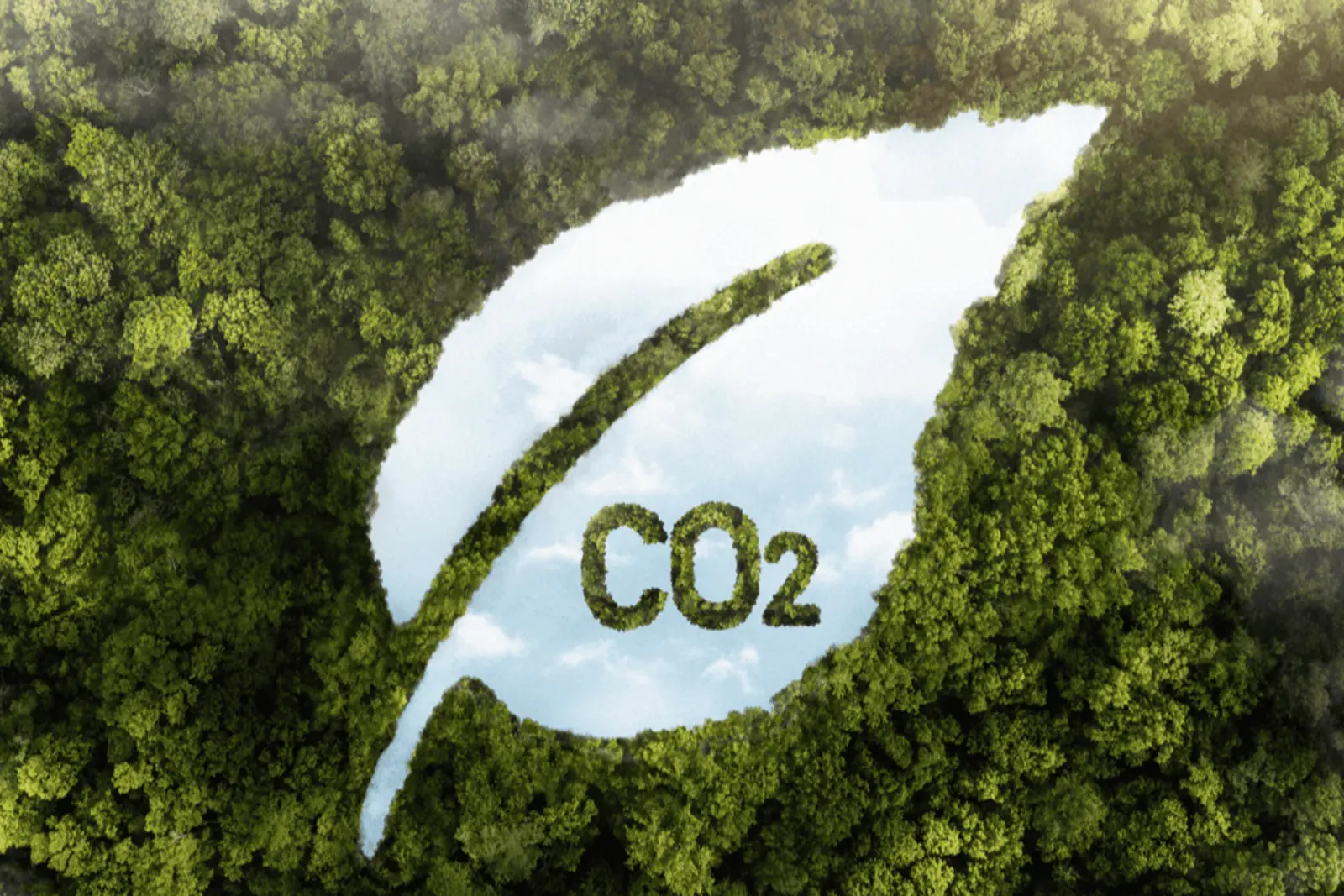 Nueva obligación para grandes empresas: el cálculo de la huella de carbono