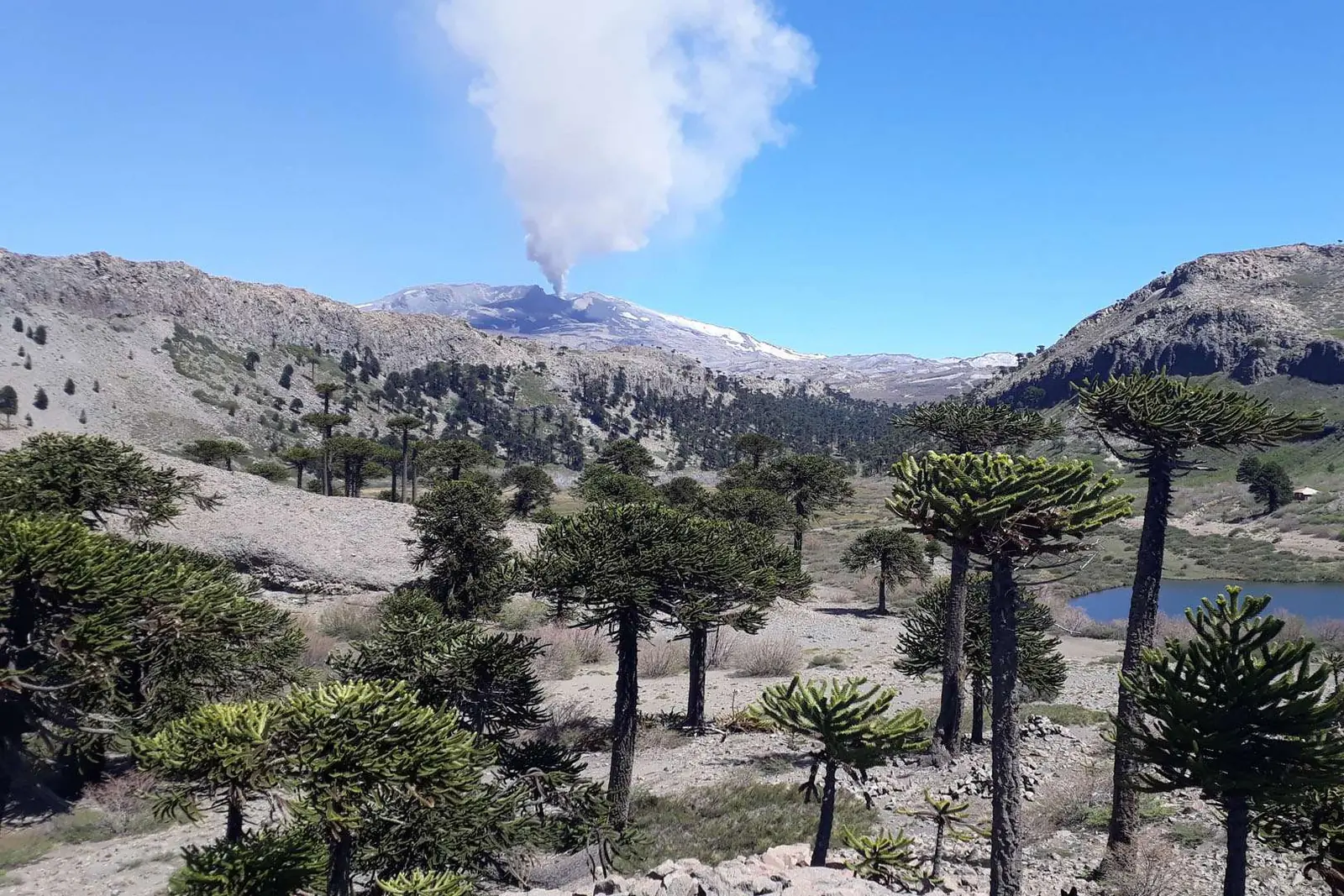 El volcán no solo es paisaje, también es ciencia, prevención y planificación territorial