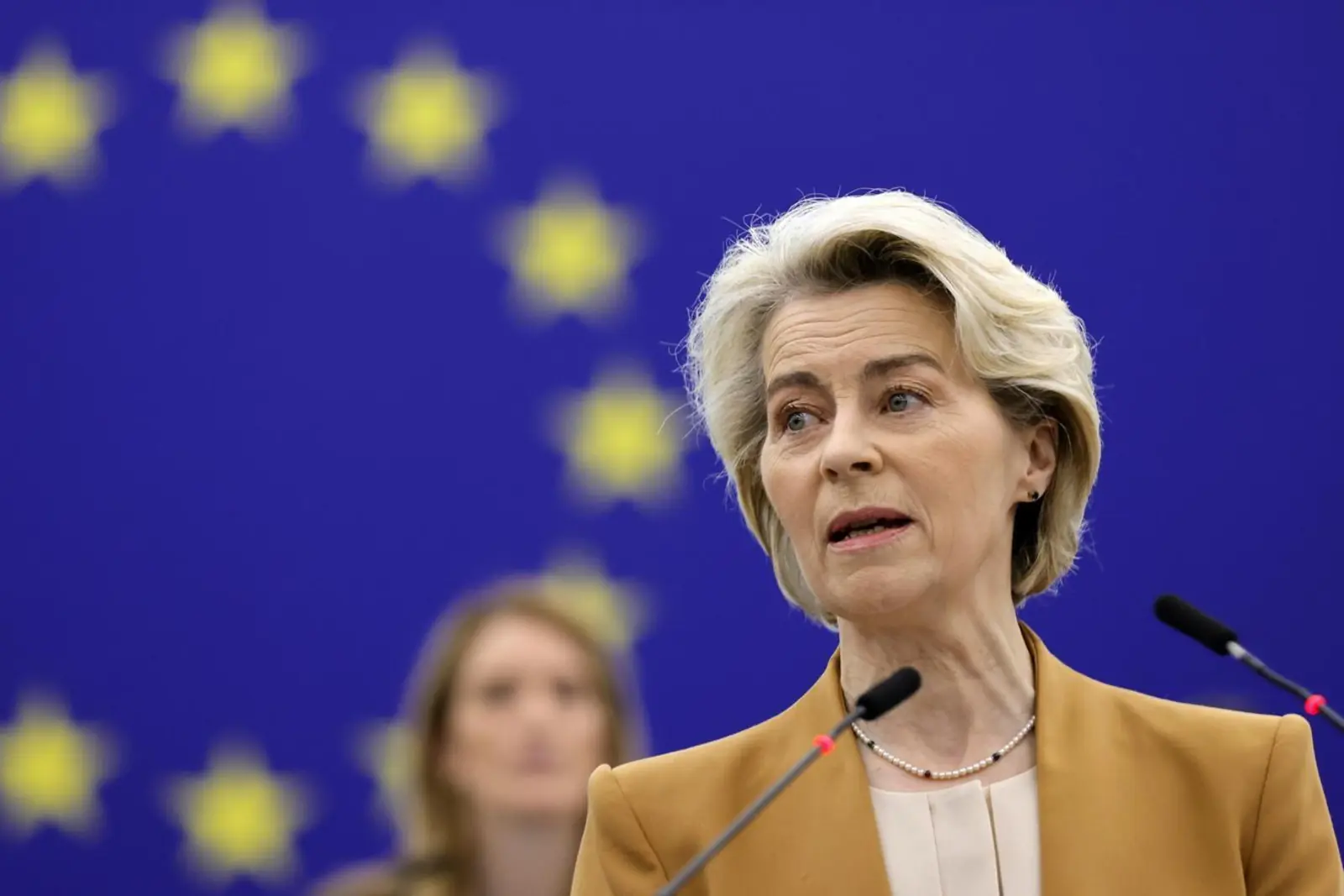 Bruselas deja pasar naranjas egipcias con fitosanitarios prohibidos.