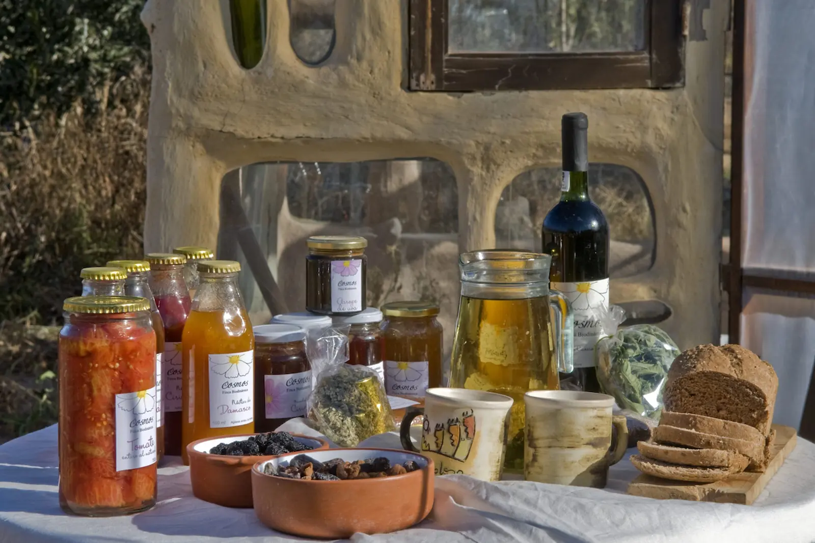 Mendoza: sabores que construyen marca país