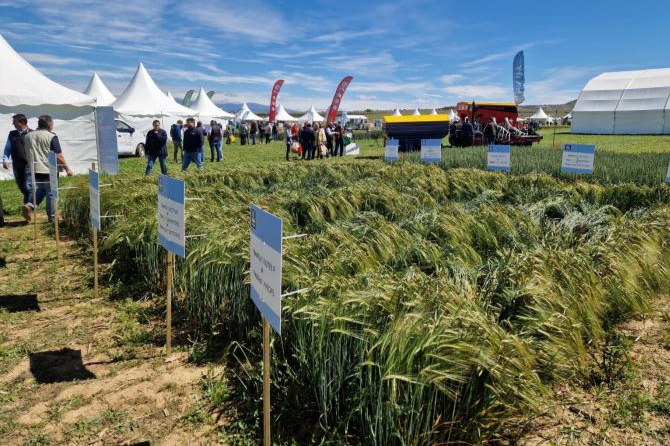 Aragón impulsa la innovación agraria en Cultiva 2026 con más de 60 empresas y 3.000 visitantes