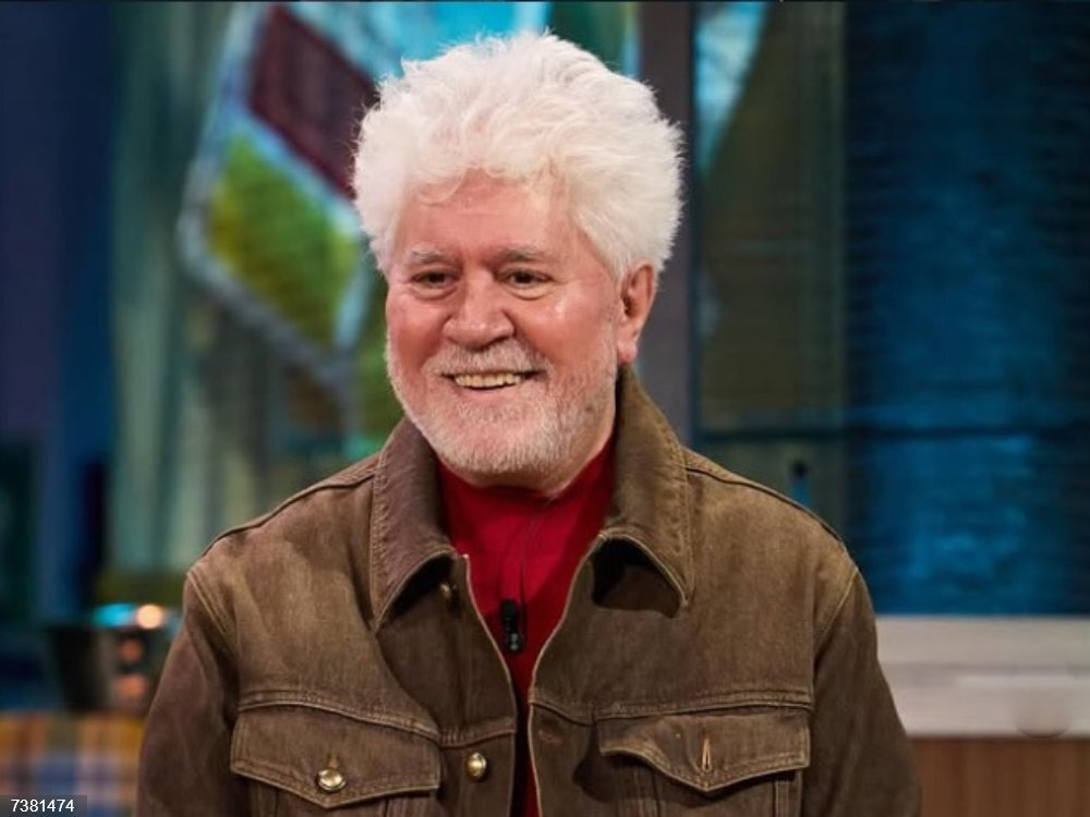 El liderazgo de Torrente presidente se refleja claramente en el ranking semanal. Ninguna otra película logra acercarse a sus cifras. La distancia con el segundo puesto es muy significativa.