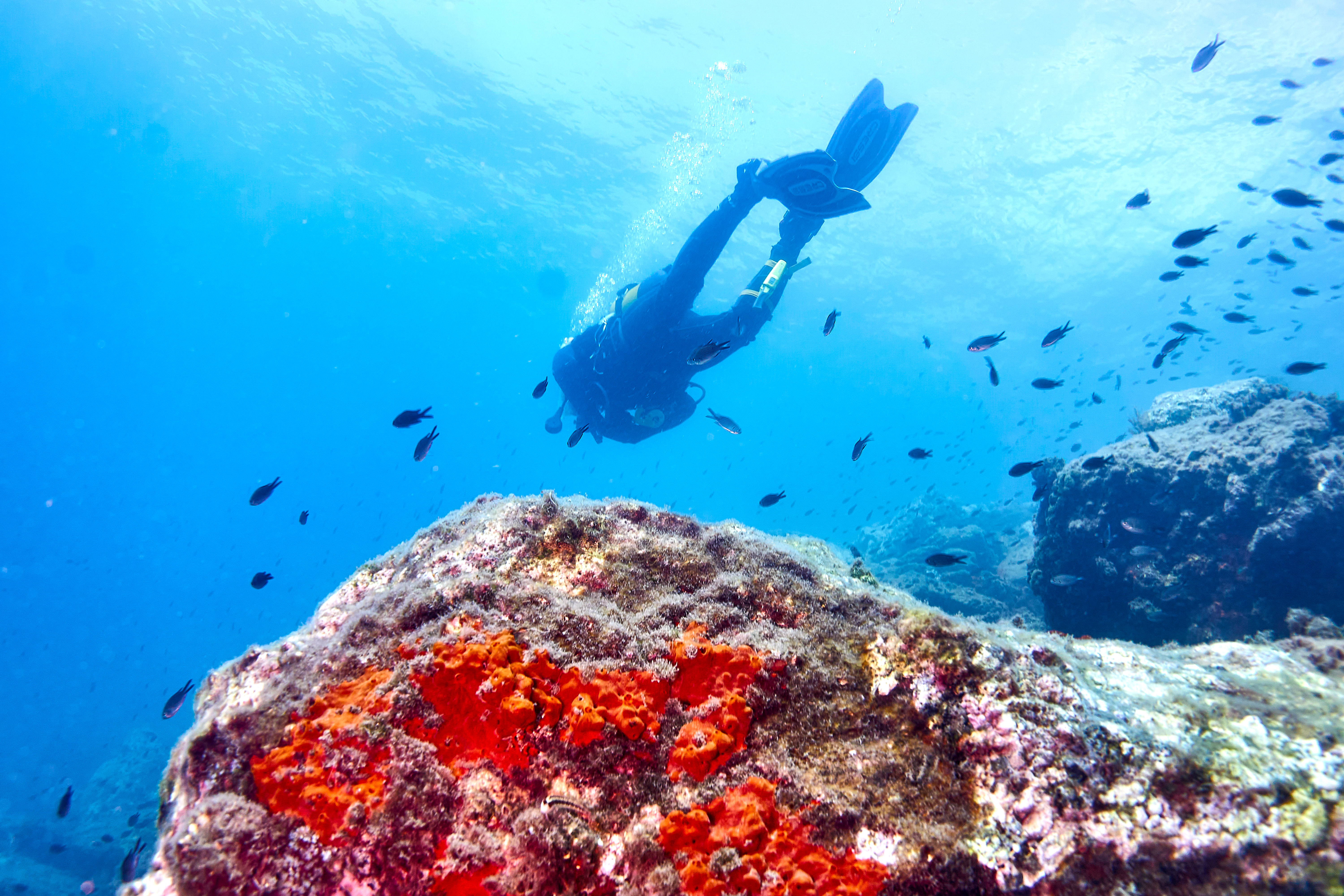 Buceo en Roquetas de Mar