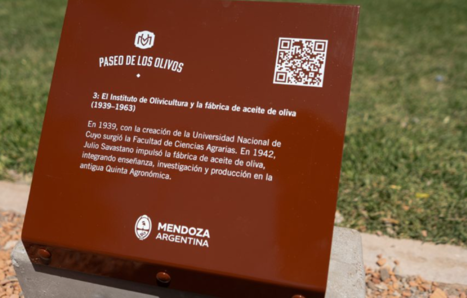 Mendoza lanzó el Mes del Olivo con actividades turísticas, gastronómicas y culturales