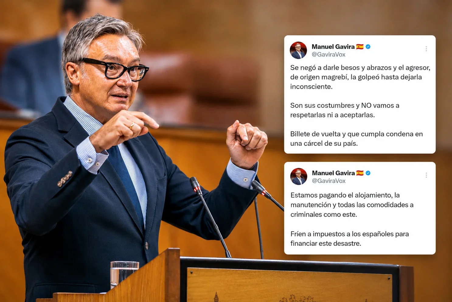 VOX estalla tras dos nuevas agresiones de ilegales en Andalucía: “Estamos pagando todas las comodidades a criminales"