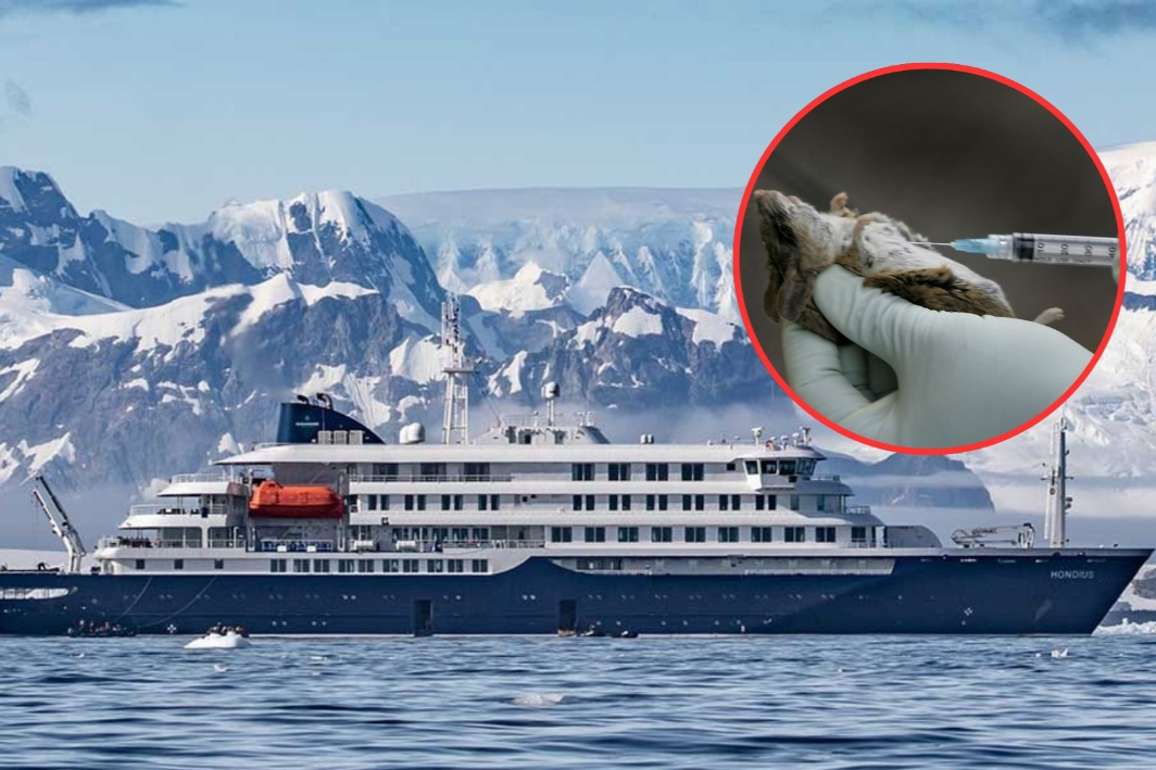 Todo lo que se sabe sobre el crucero con hantavirus que llega hoy a España: un médico infectado con destino Tenerife