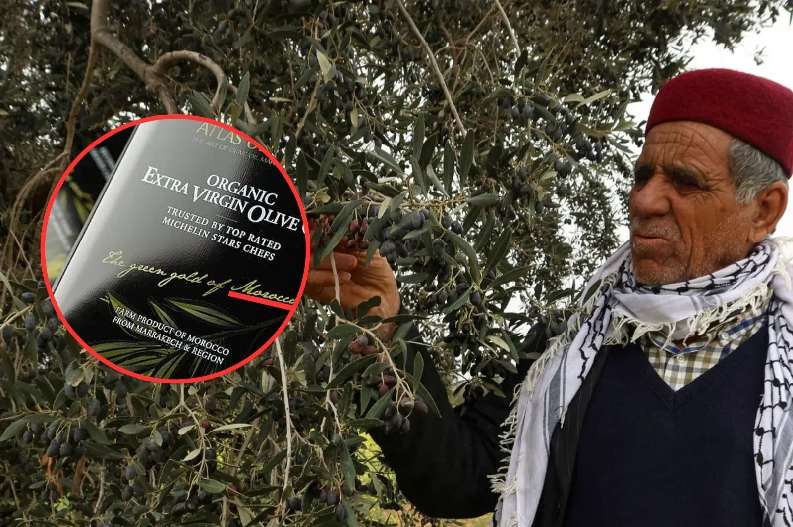 El aceite de oliva de Marruecos invade el mercado español tras dispararse las importaciones un 9.979%