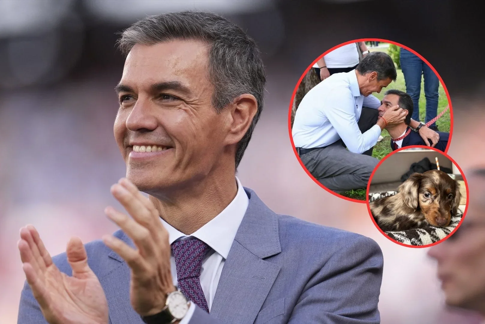 Las redes se mofan de Sánchez tras felicitar el día del perro: '¡Hoy es tu día, Perro Sánchez!'