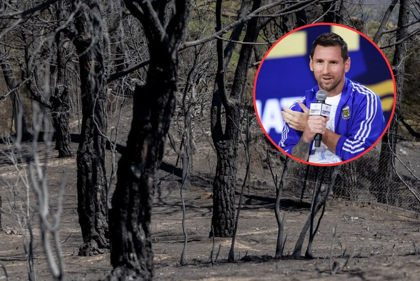 Leo Messi dona 80.000 euros para la recuperación de la Sierra Oeste de Madrid tras los incendios