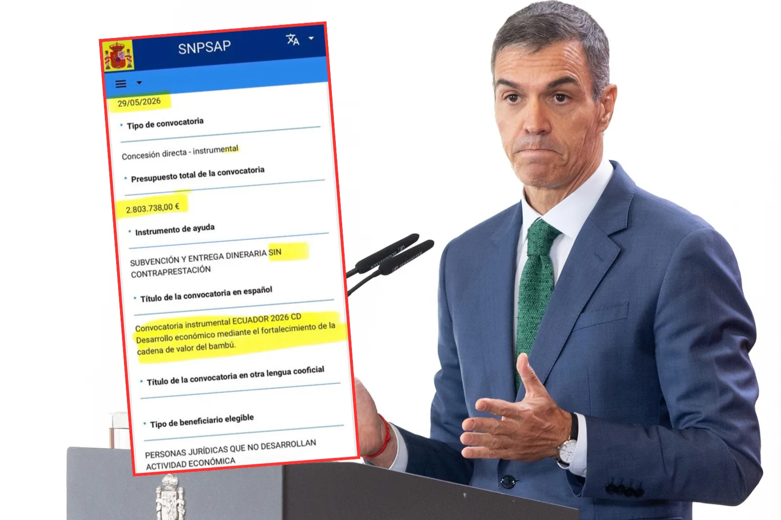 El Gobierno destina 2,8 millones de euros a desarrollar el bambú en Ecuador mediante subvenciones sin contraprestación