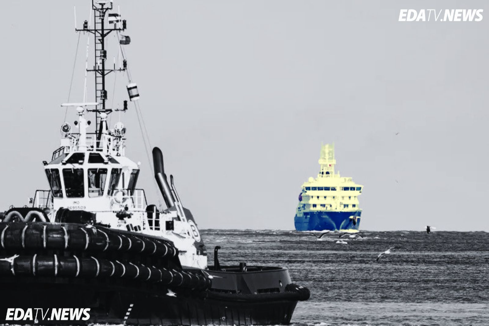 El crucero MV Hondius llega a Róterdam para ser desinfectado tras el brote de hantavirus