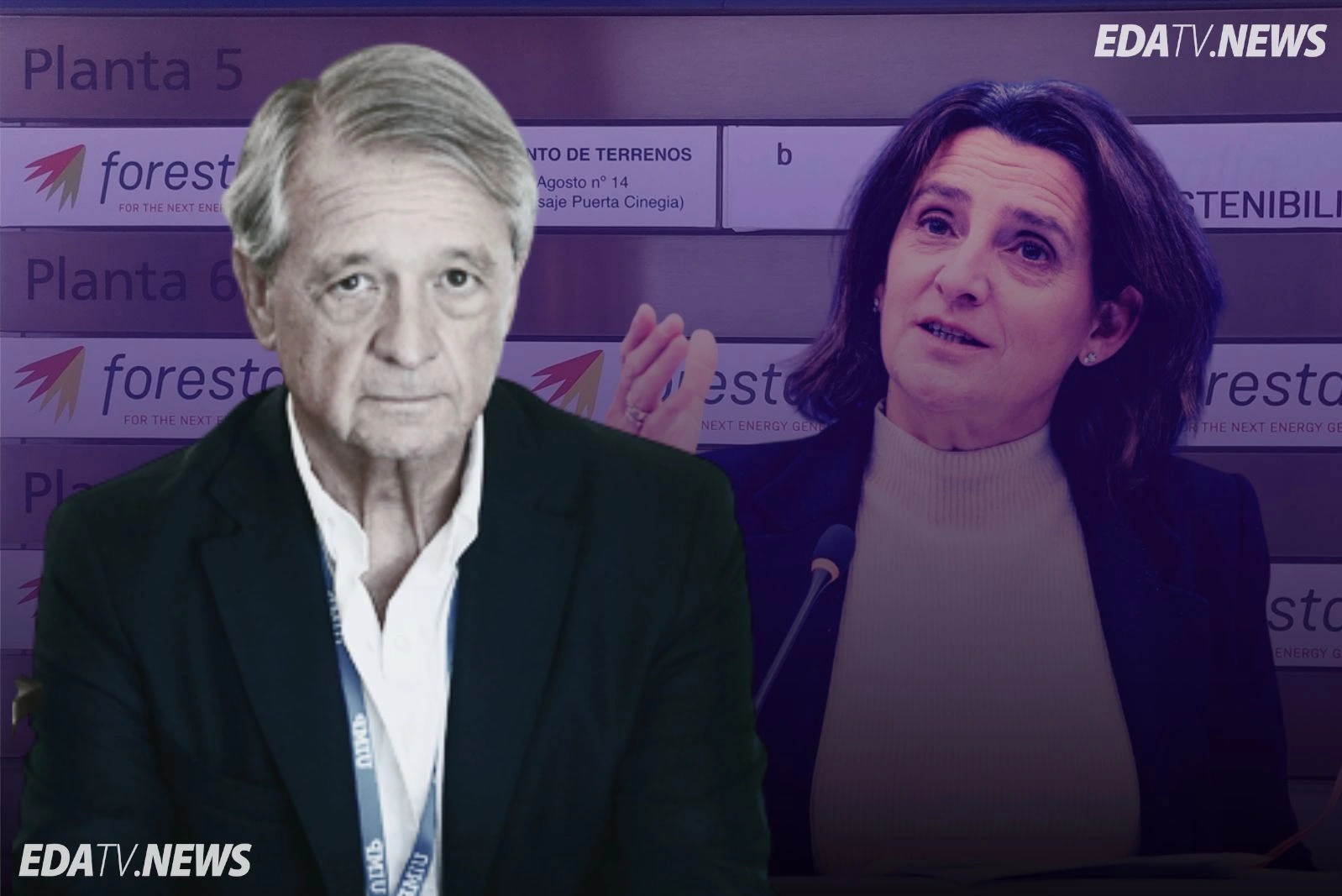 Un alto cargo del ministerio de Teresa Ribera, señalado como pieza clave de la trama Forestalia