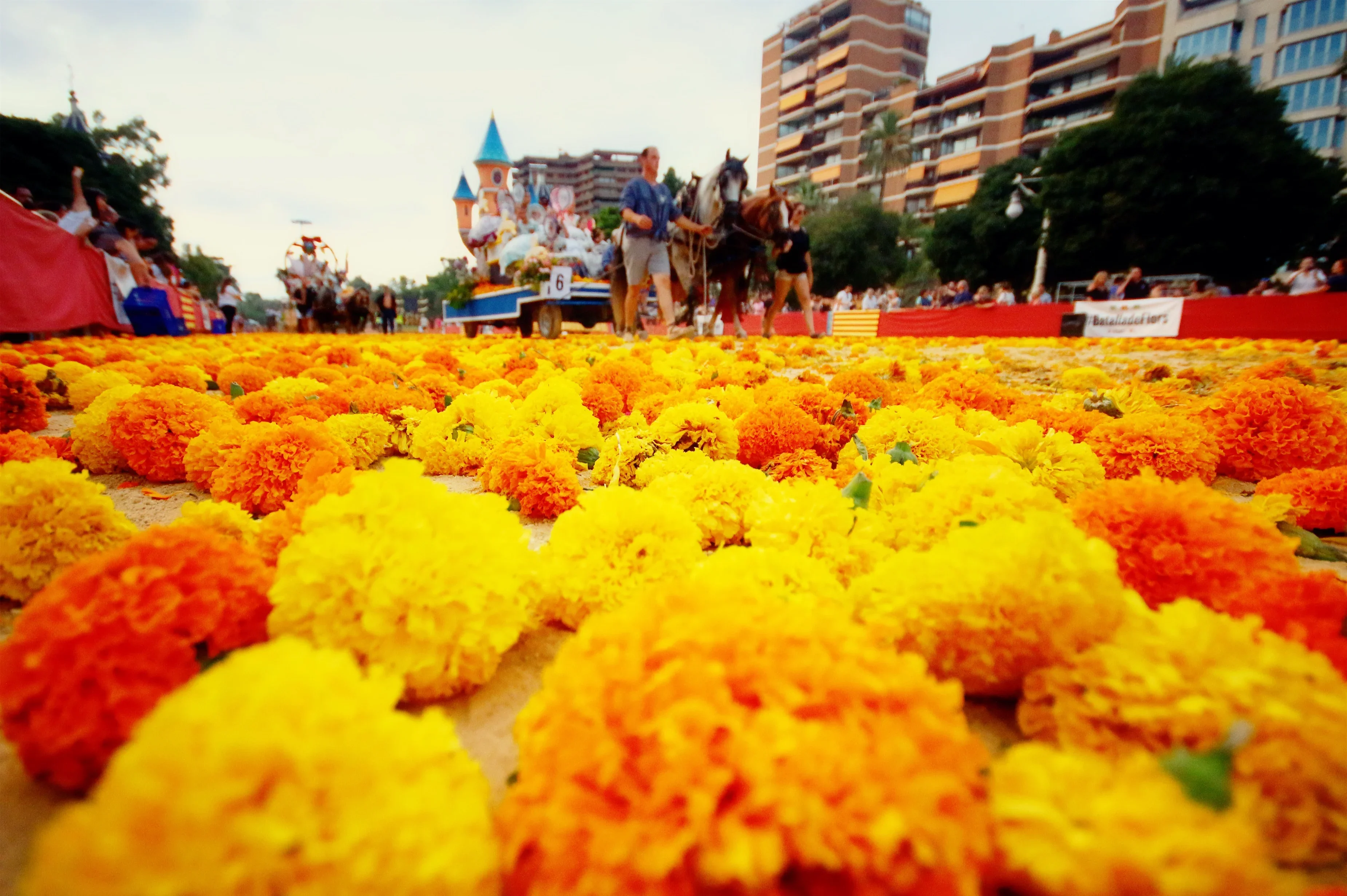 La Batalla de Flores pondrá el broche de oro a la Gran Feria el 26 de julio