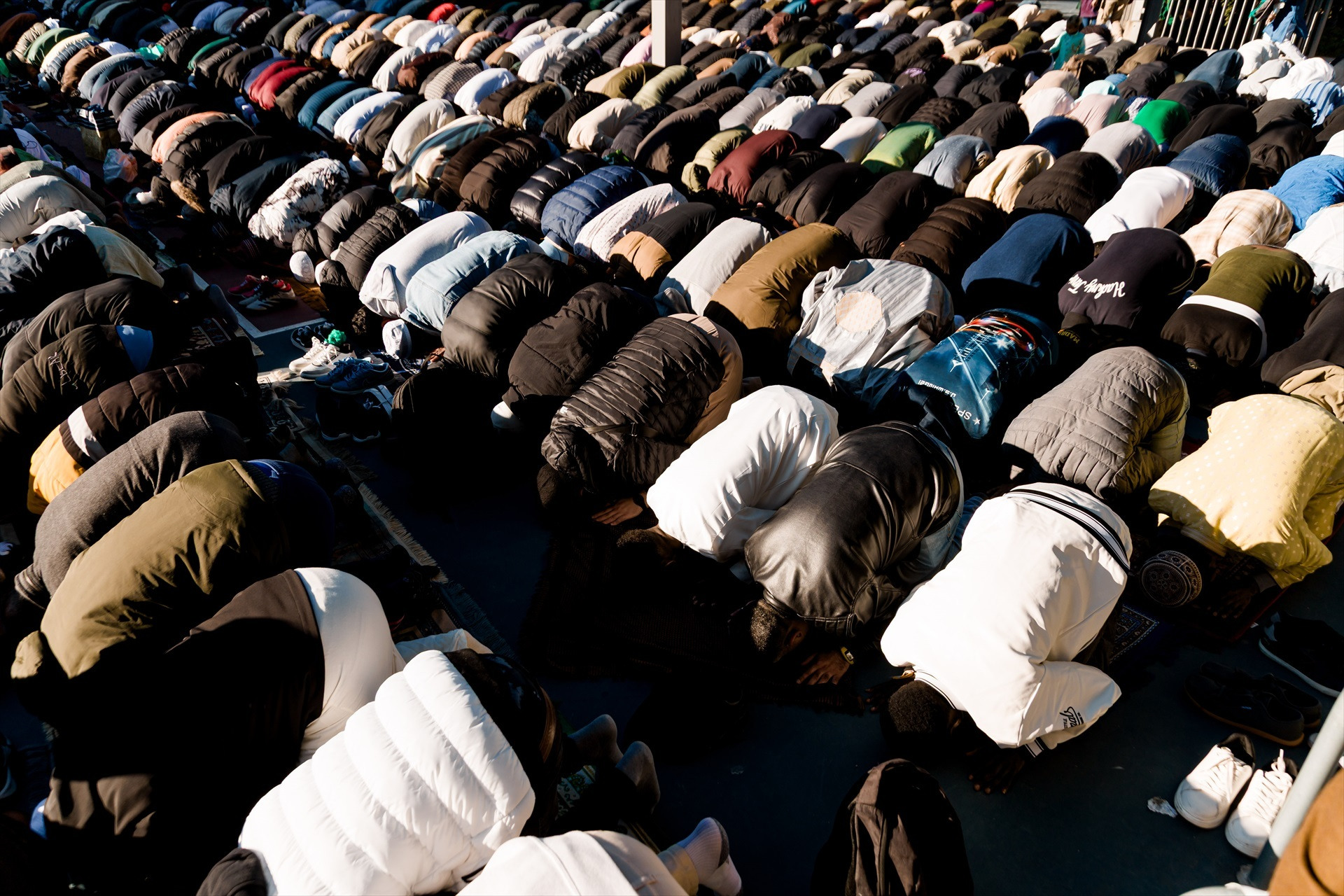 El estudio también pone de manifiesto un desafío directo al marco jurídico alemán