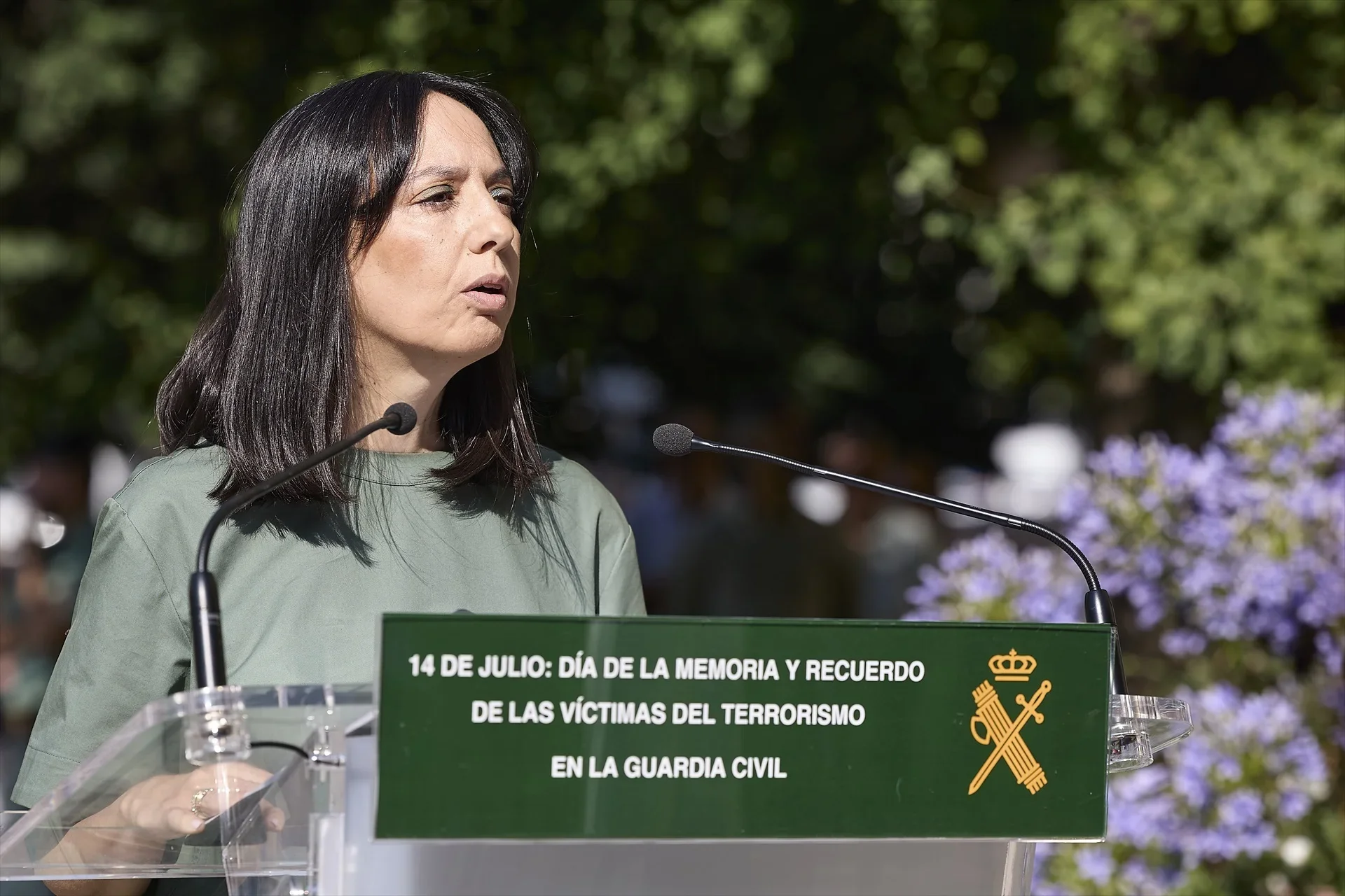 Imagen 1373297