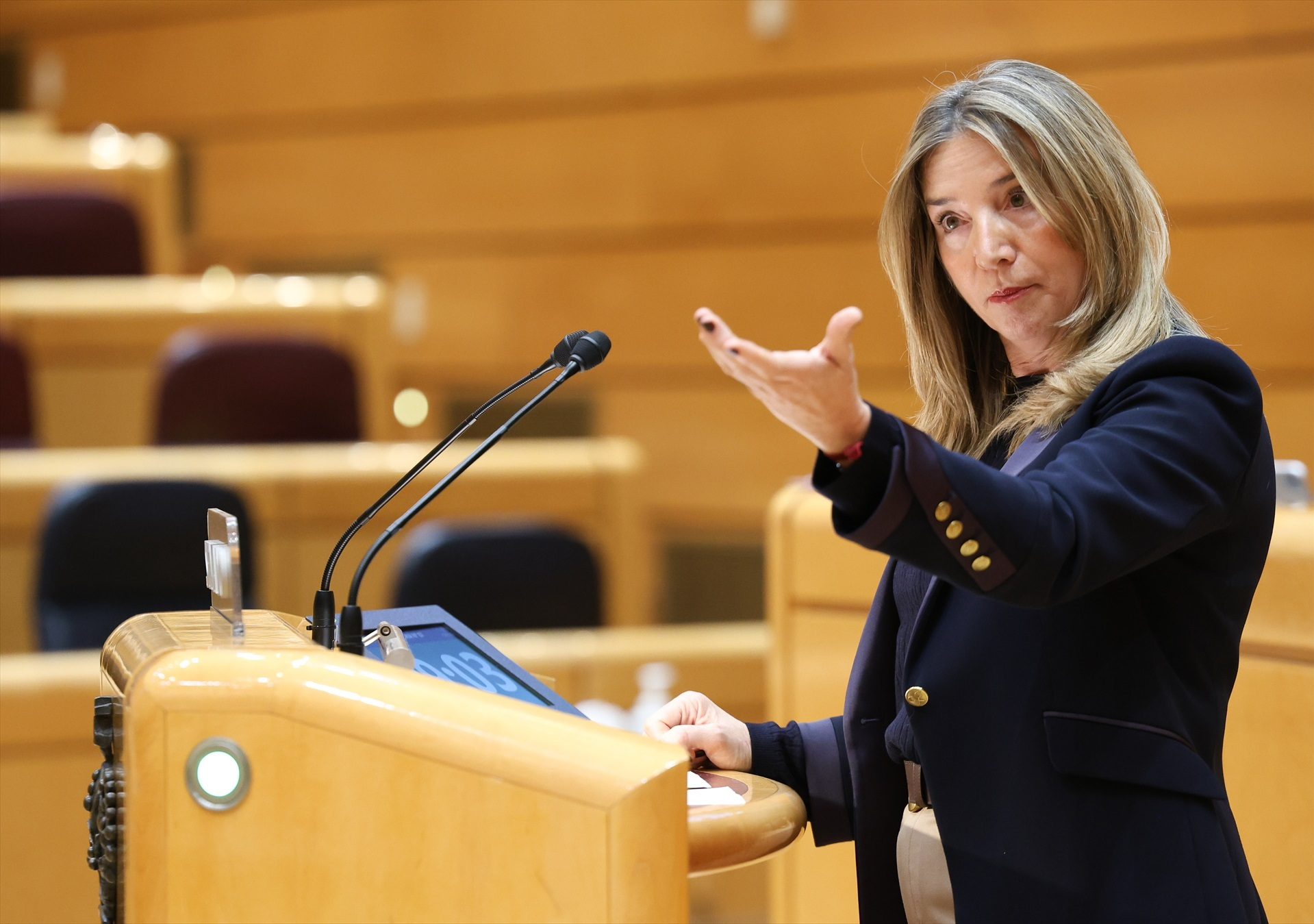 La portavoz popular en la Cámara Alta, Alicia García