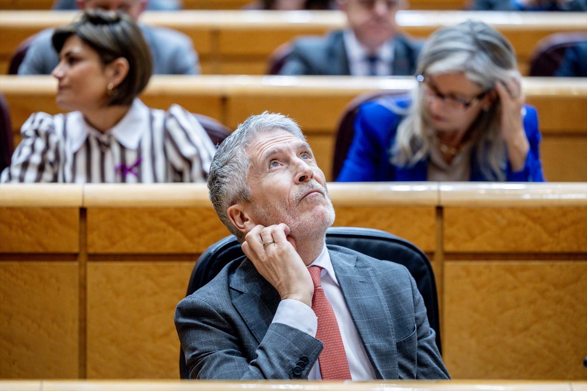 Marlaska anunció la posibilidad de votar con miDNI