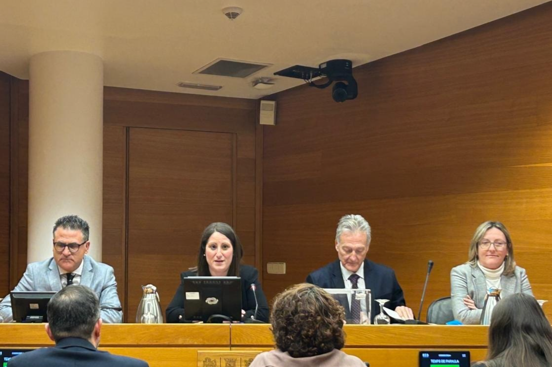 PP y Vox frenan la votación en la comisión de VPP mientras la izquierda intenta convertirla en un juicio político