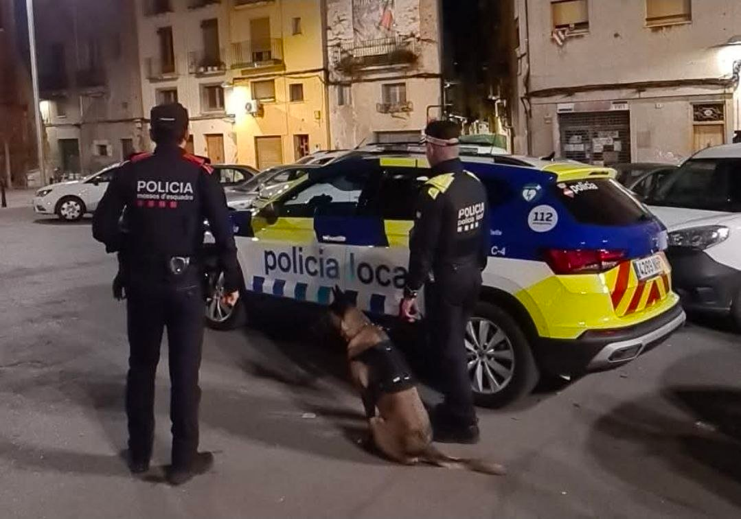 Los extranjeros concentraron el 84,3% de las detenciones por delitos de hurto registradas en Cataluña