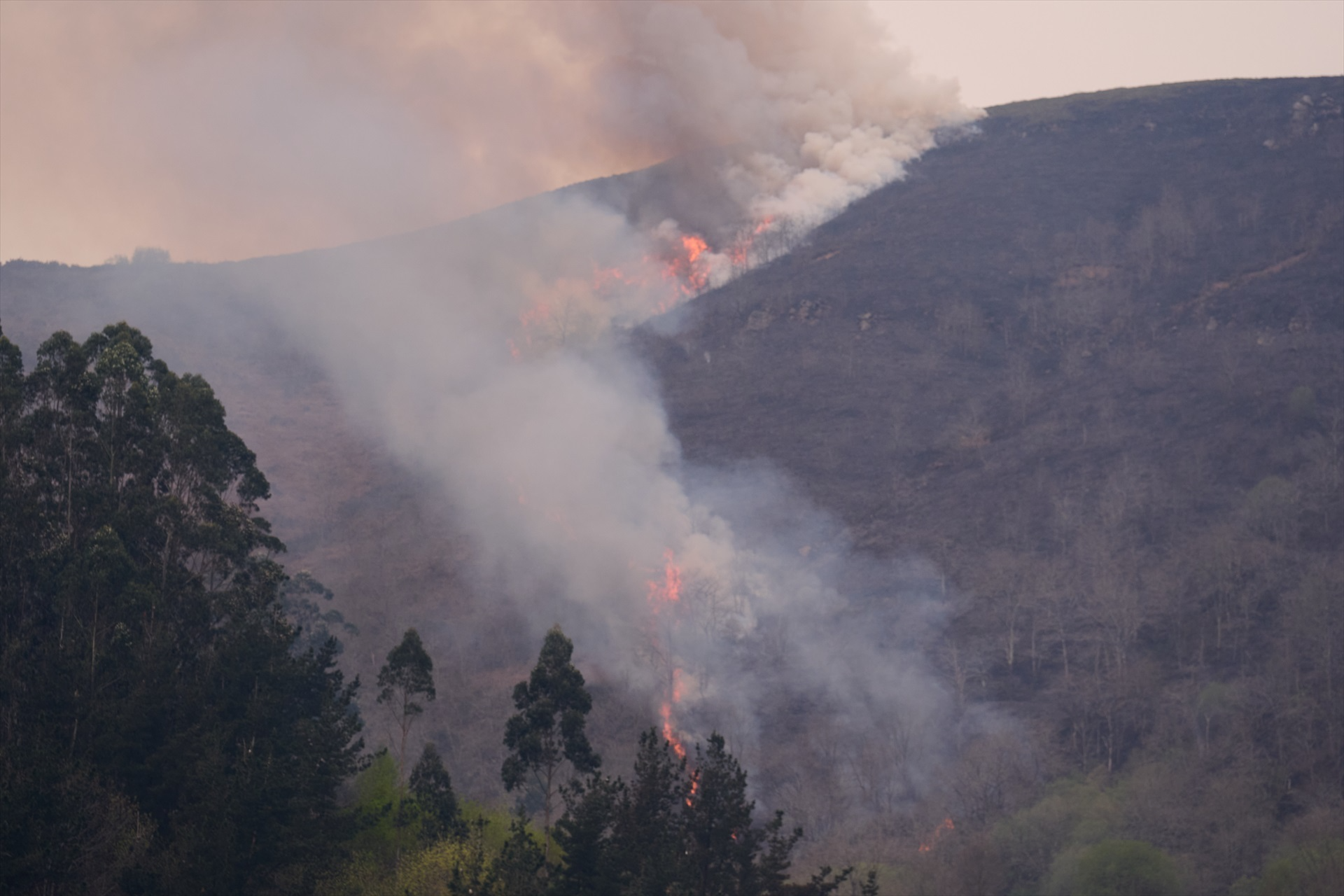 Vista de los incendios activos en el valle de Cabuérniga