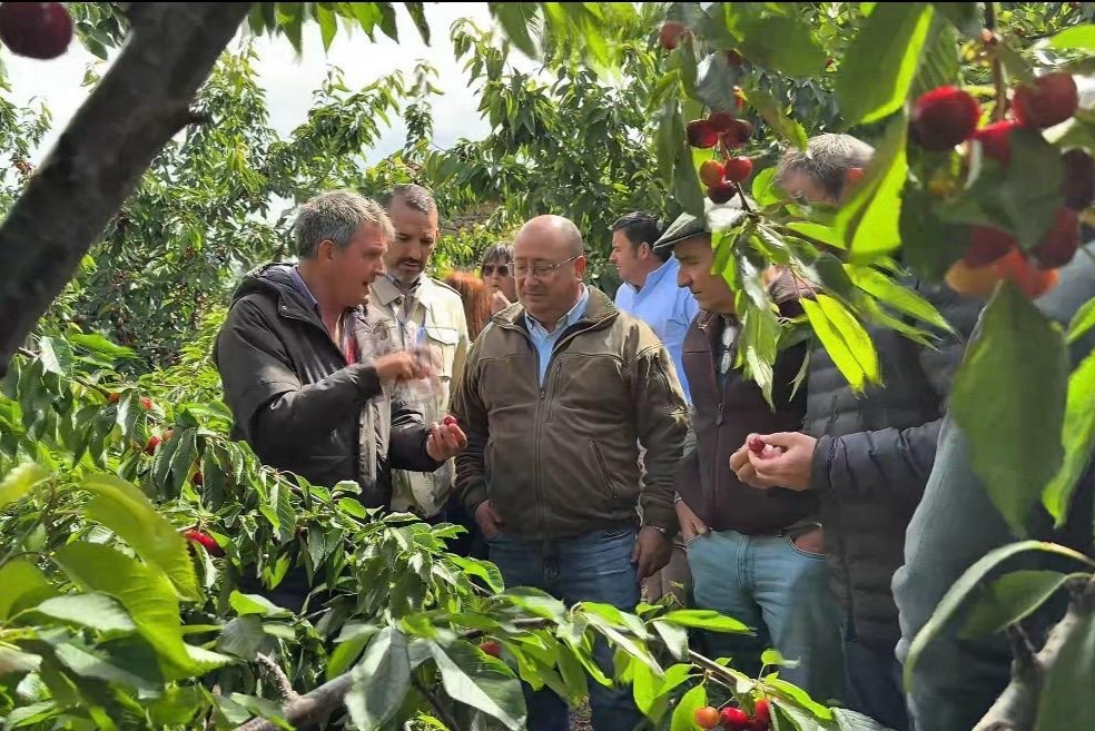 El consejero de Agricultura prioriza la defensa del sector primario de Extremadura frente al Pacto Verde Europeo