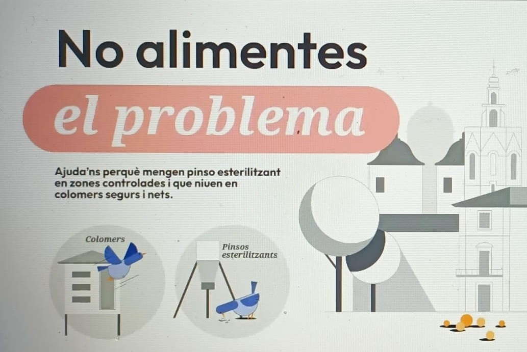 València lanza la campaña 'No alimentes el problema' para frenar la sobrepoblación de palomas