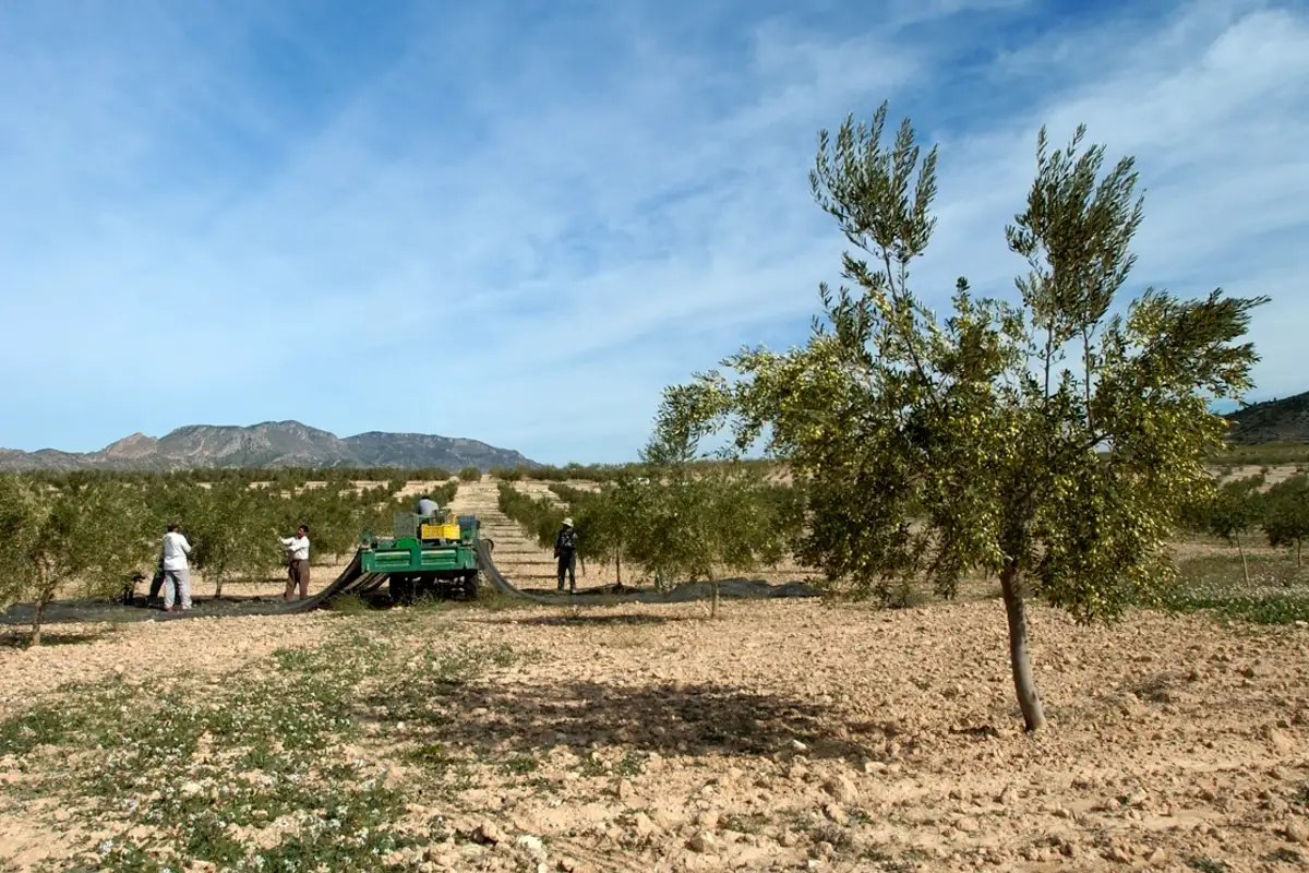 La Junta de Castilla y León reclama en Bruselas una PAC que devuelva rentabilidad al campo