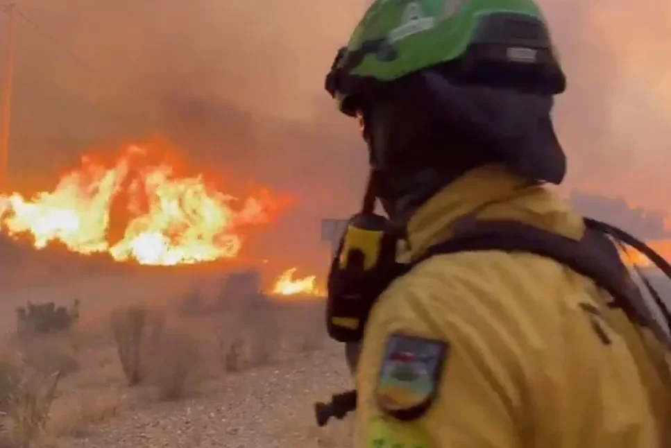 El incendio de Los Gallardos obliga a cortar la A-7 mientras el operativo busca desaparecidos