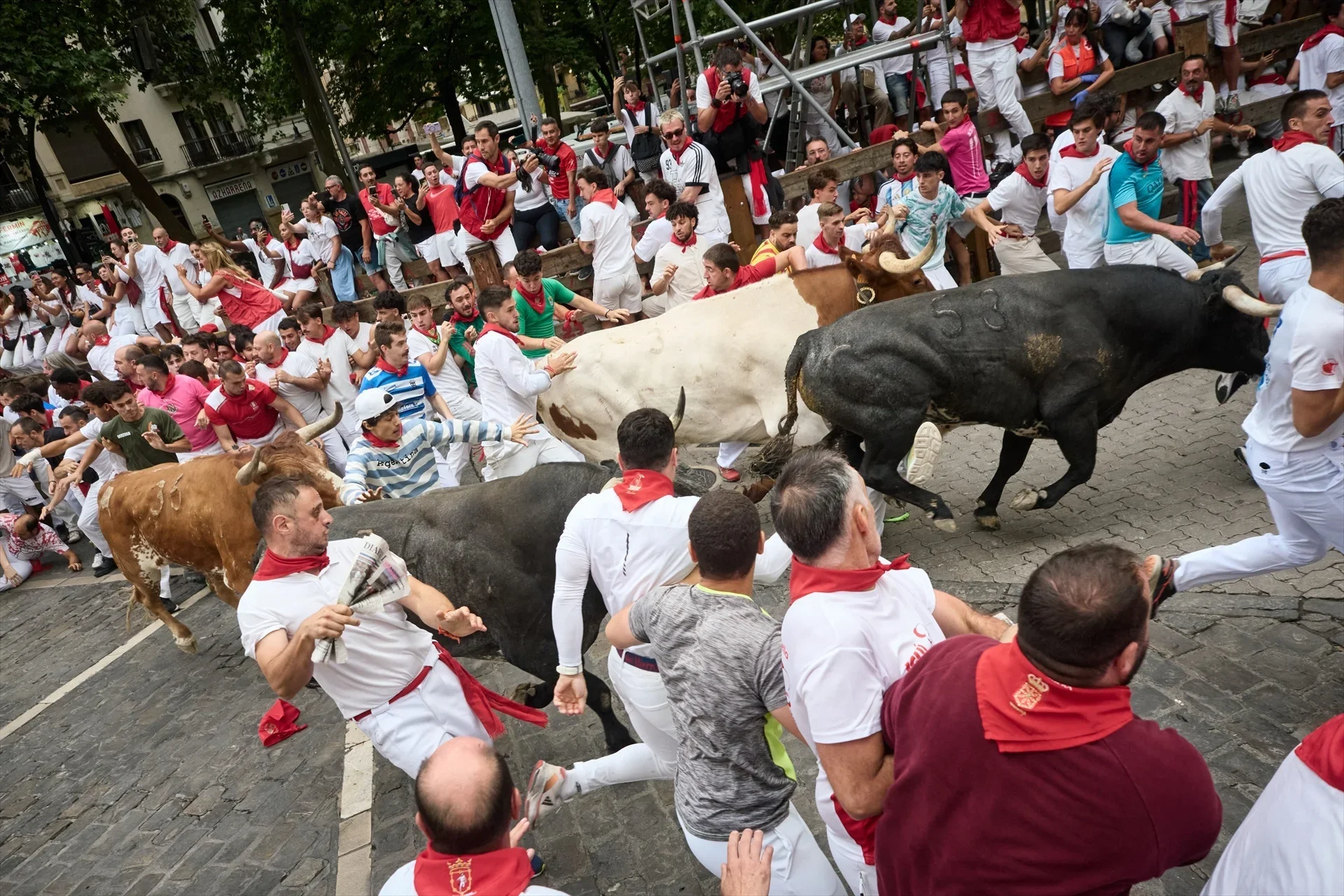 Los Miura dejan un séptimo encierro rápido y con momentos de tensión en San Fermín 2026
