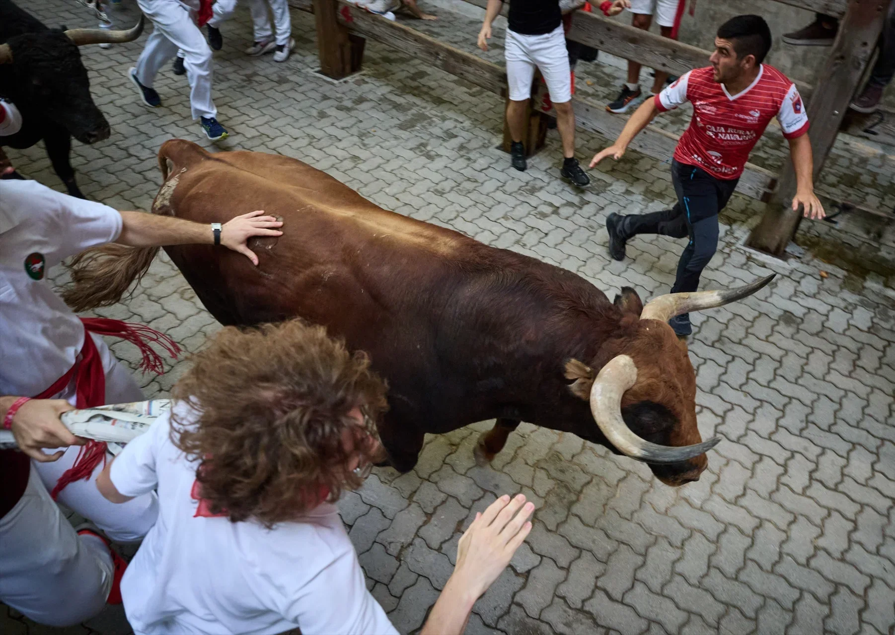 El último encierro de San Fermín 2026 deja dos heridos por asta tras una rápida carrera de Jandilla