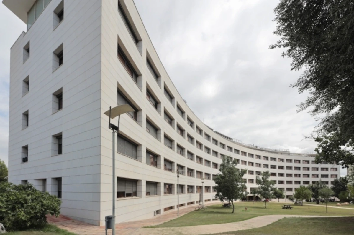 La Universitat de Valencia apunta a una terapia para frenar el avance de la esclerosis múltiple