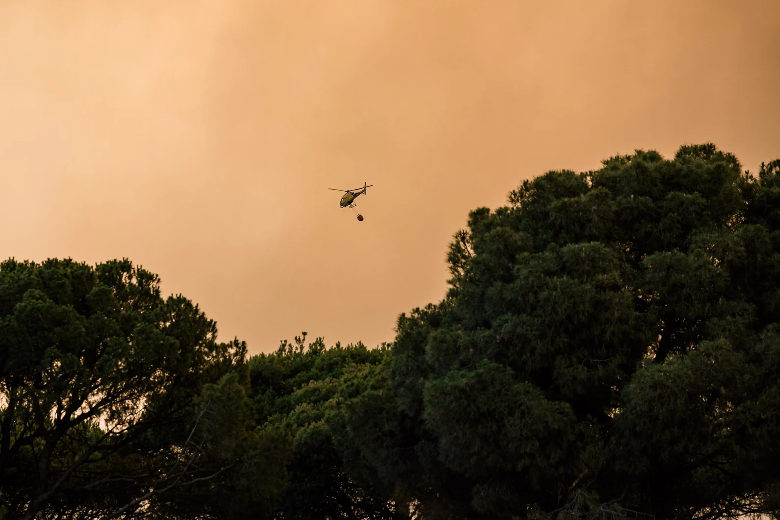 El incendio en Madrid obliga a evacuar Navalagamella y Zarzalejo y deja más de 25.000 desalojados