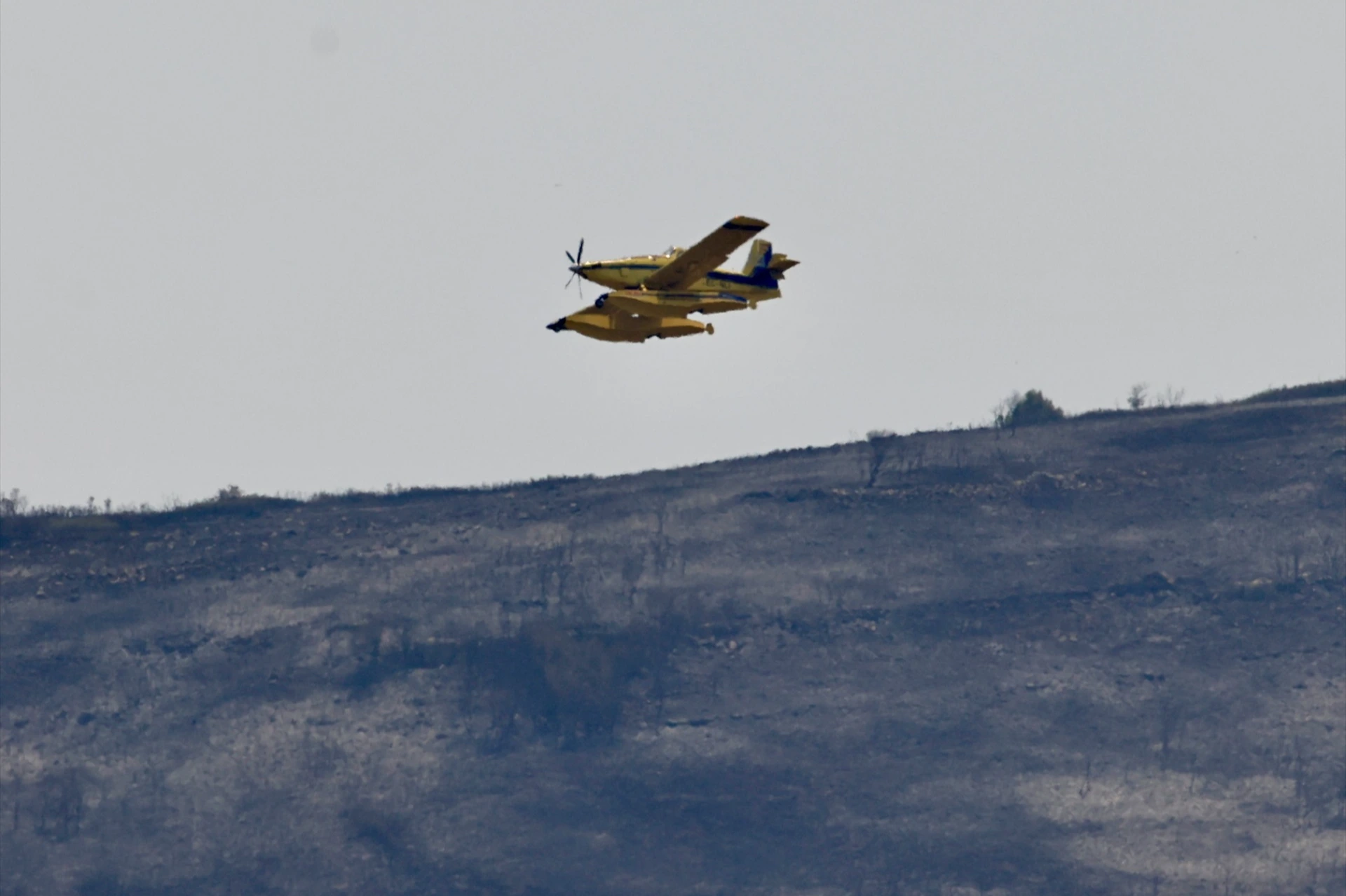 El incendio de Tírig mantiene a 200 efectivos desplegados mientras los medios aéreos vuelven al fuego