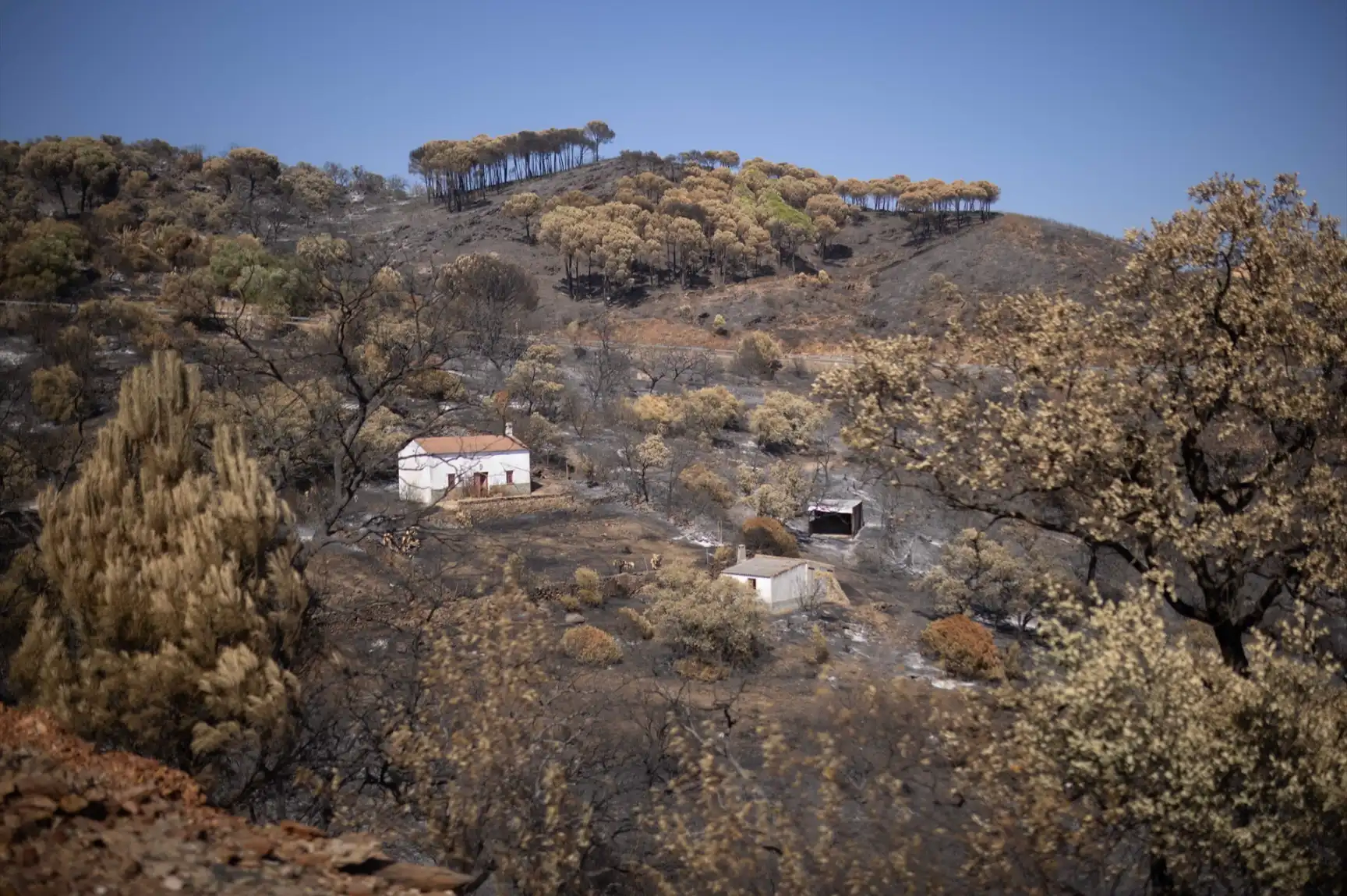 Controlado el incendio de Niebla (Huelva) tras arrasar 33.000 hectáreas