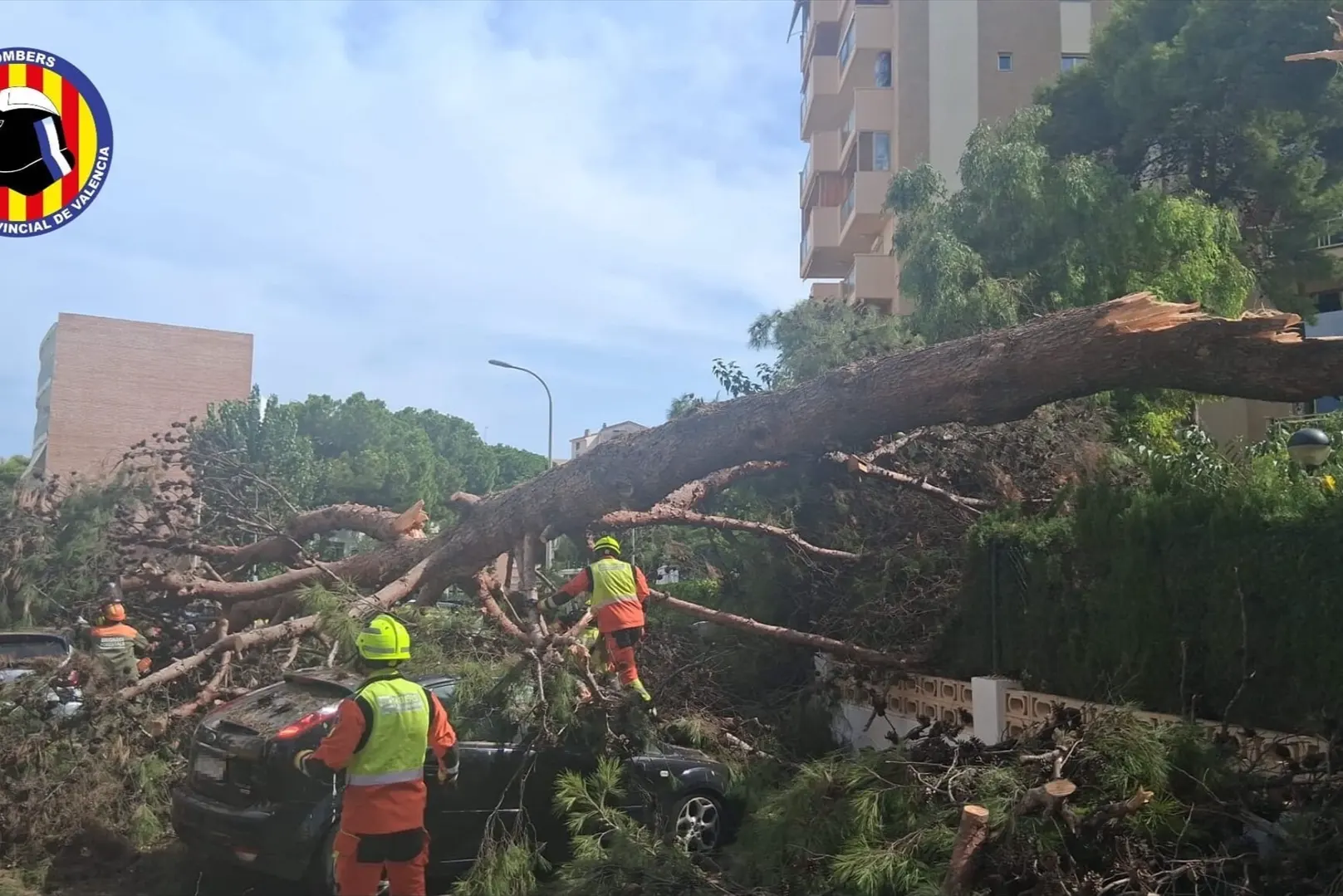De los 44 grados al vendaval: así ha golpeado el tren de tormentas a la Comunitat