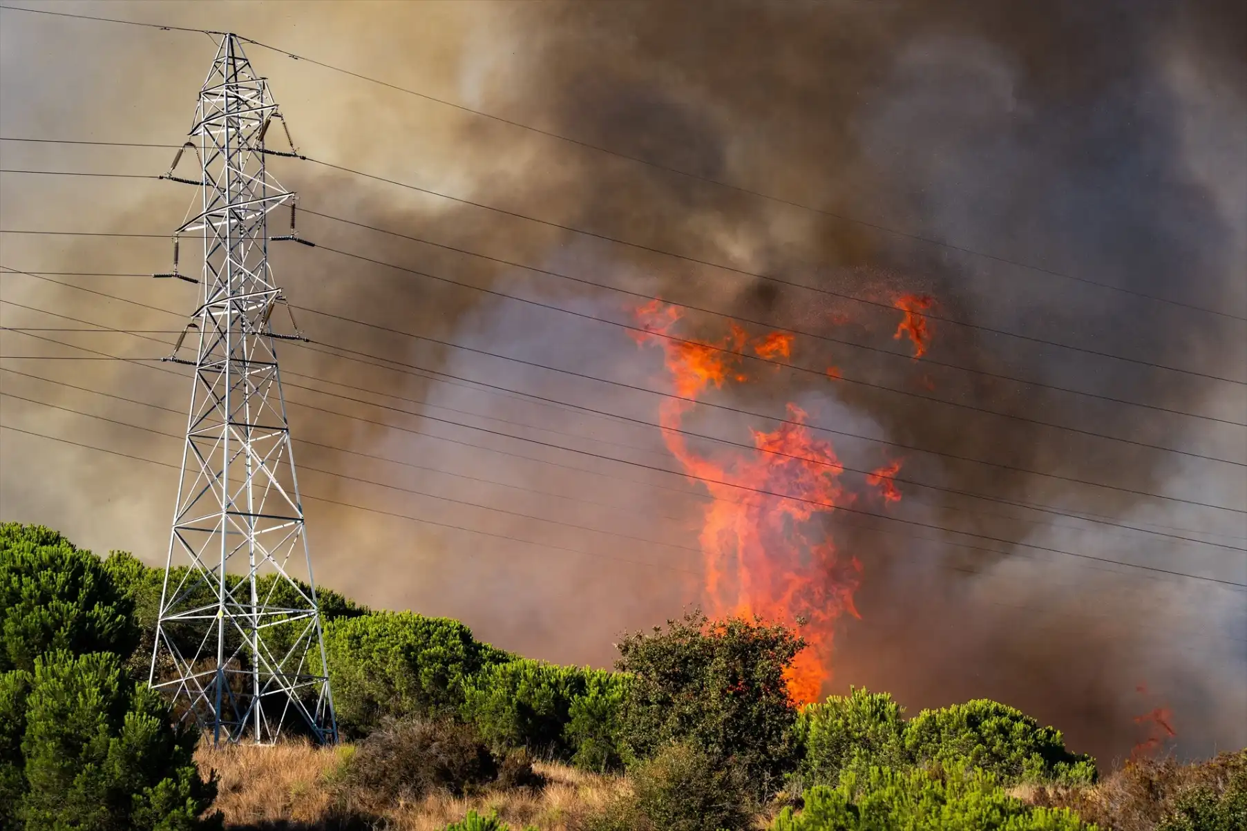 Estabilizado el incendio de Collserola tras quemar 45 hectáreas y obligar a confinar dos barrios de Barcelona