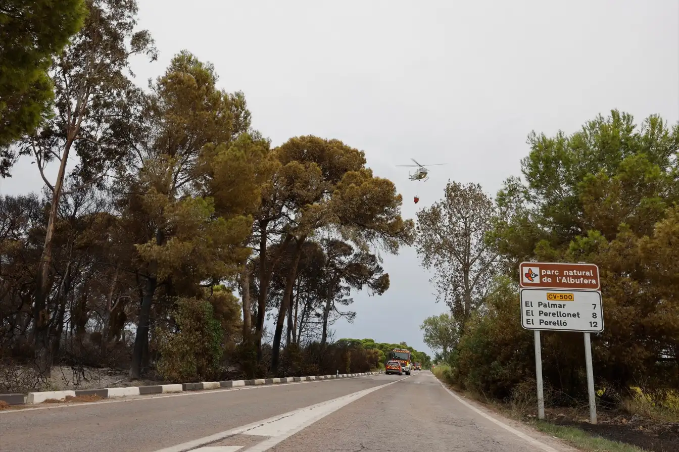 El incendio de El Saler, controlado tras una noche "muy complicada": confirmado que fue provocado con una colilla o un m