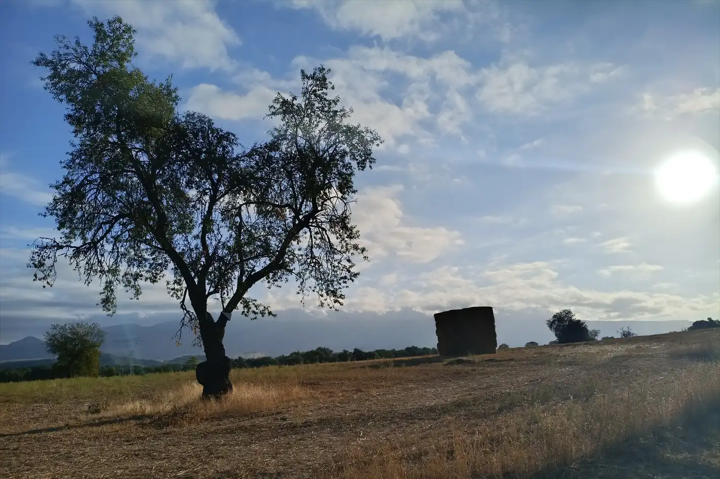 Extremadura hace historia y adelanta 220 millones de euros de la PAC a agricultores y ganaderos