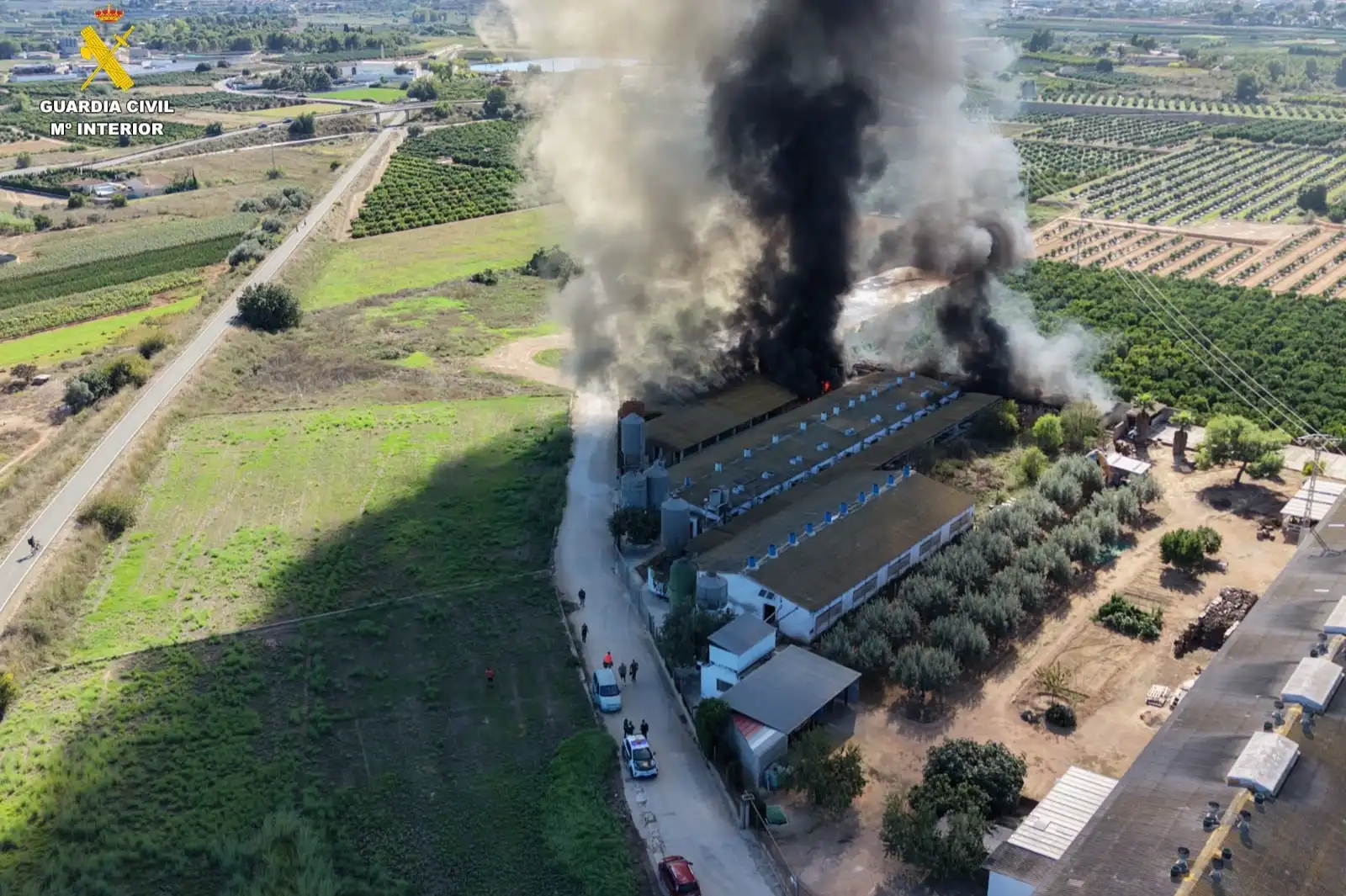 Rescatan a 3.300 cerdos y a cinco trabajadores de una granja de Benaguasil en llamas