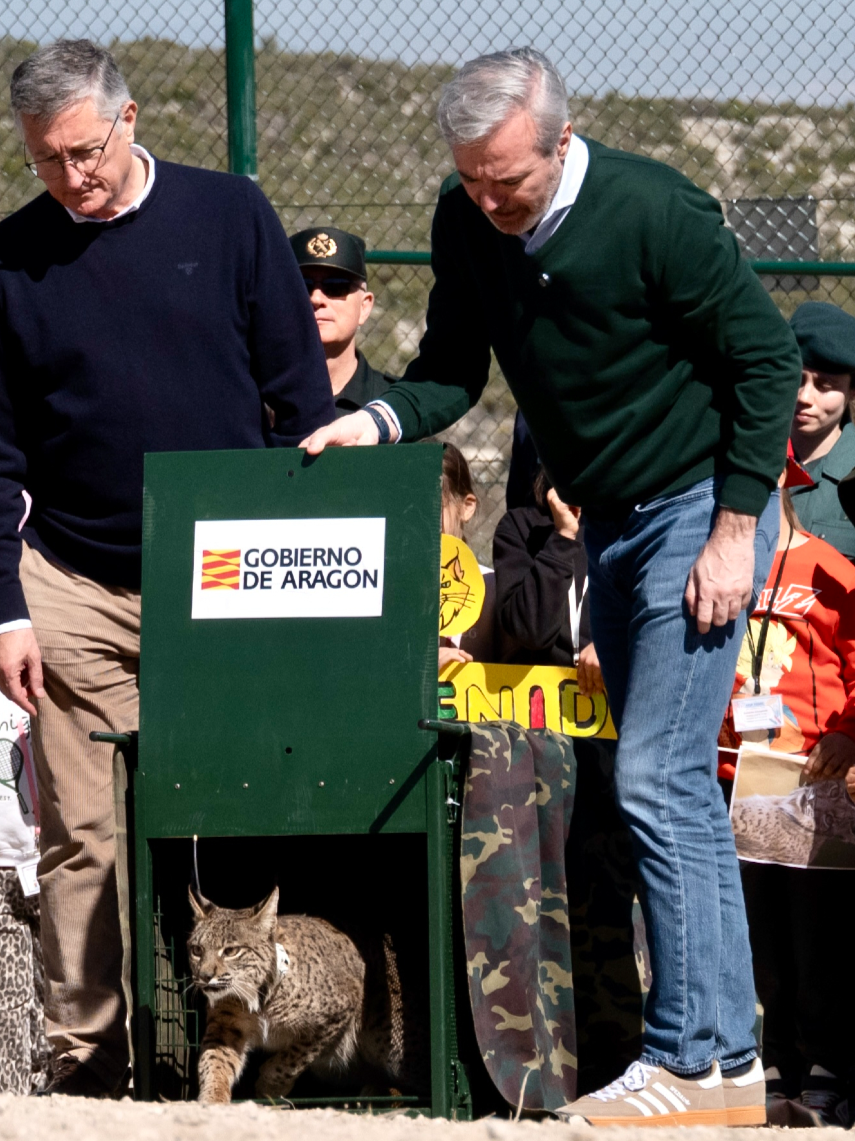 El presidente aragonés, Jorge Azcón, ha destacado la relevancia del proyecto ambiental