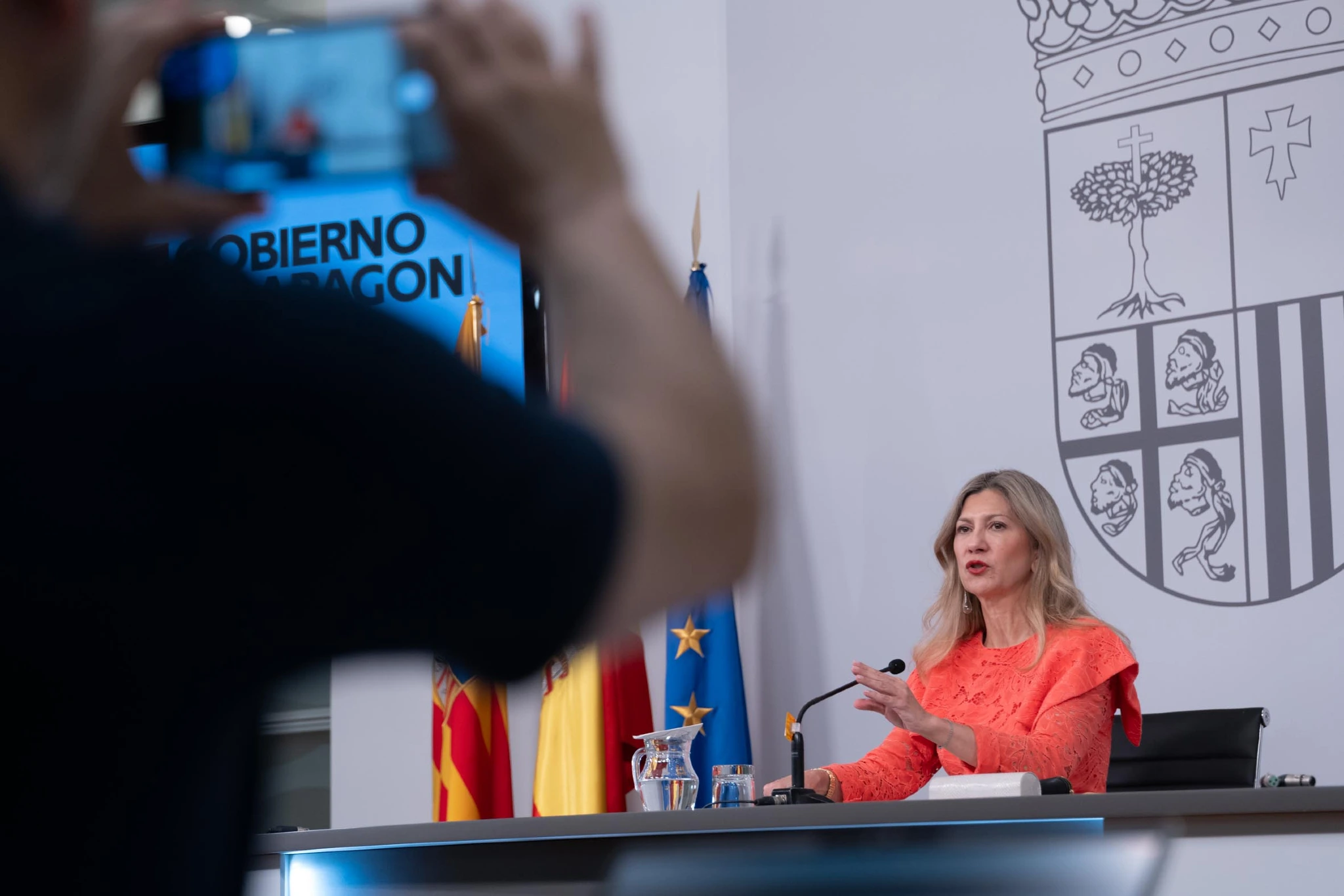 La vicepresidenta en funciones y portavoz del Ejecutivo aragonés, Mar Vaquero