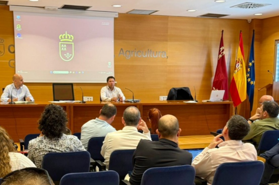 Murcia activa 700 inspecciones para frenar el virus de la clorosis nervial amarilla en los cítricos