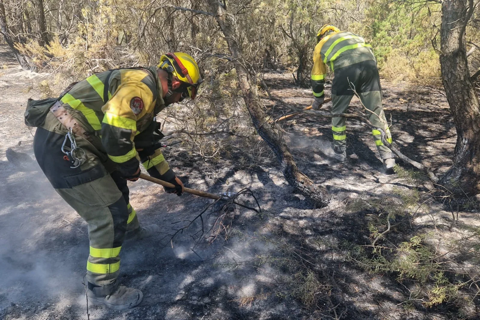 Aragón solicita al Gobierno Central declarar zona catastrófica por el incendio de Leciñena