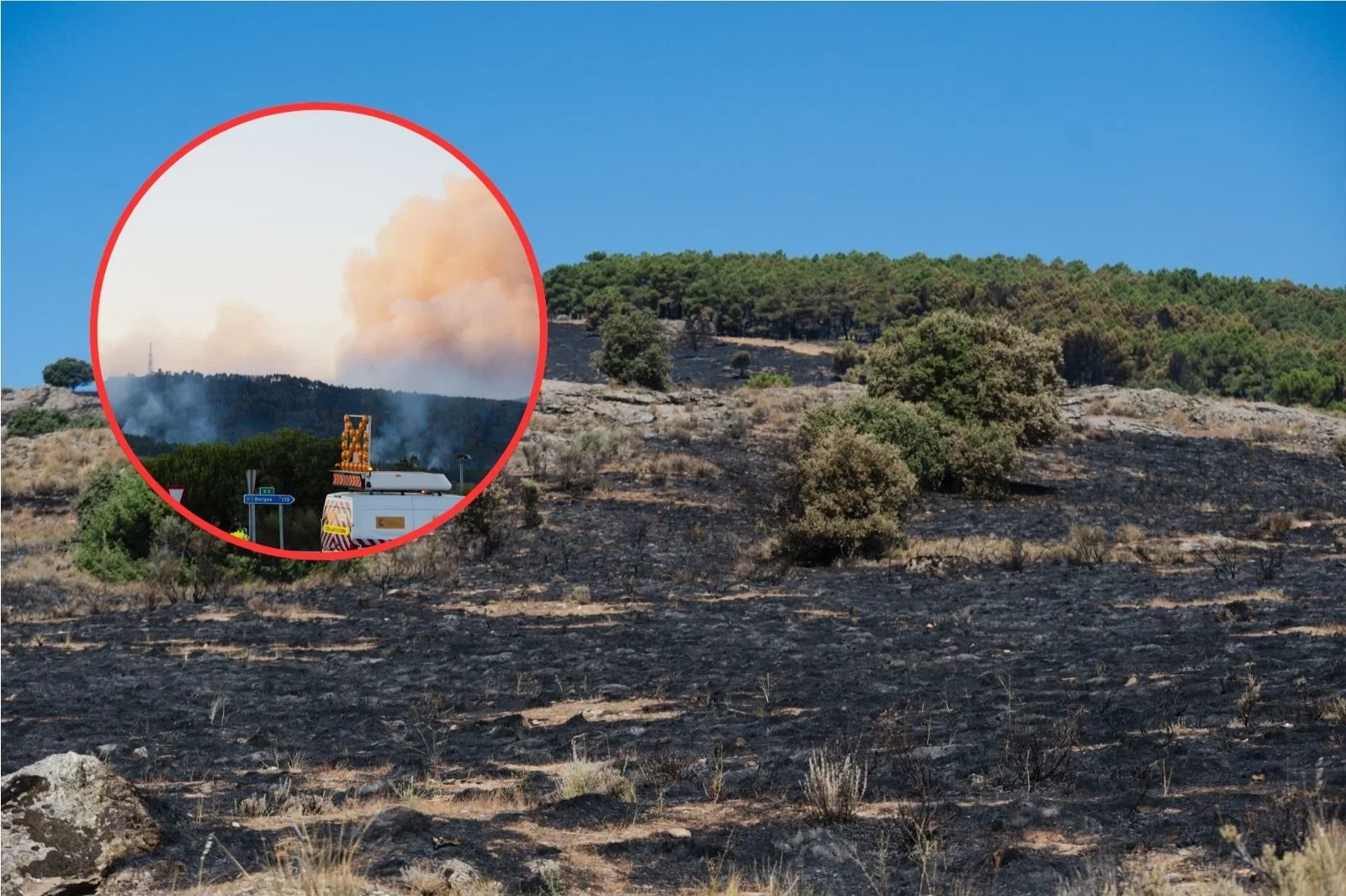 Los vecinos cercan al sospechoso del incendio de Lozoyuela: 52 años, antecedentes y un mechero entre sus pertenencias