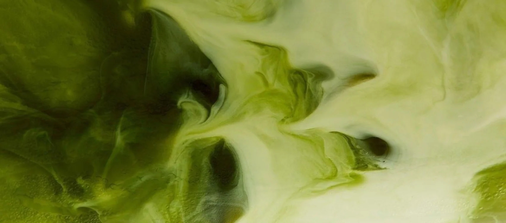 Imagen: Maison Matcha
